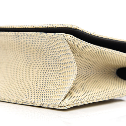 Christian Dior Lizard Medium Diorama Flap Bag Off White 9 of 10