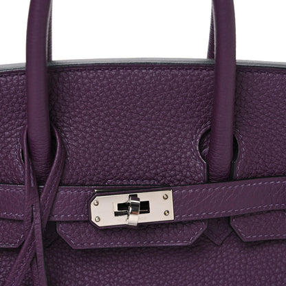 Hermes Togo Birkin 25 Cassis 8 of 10