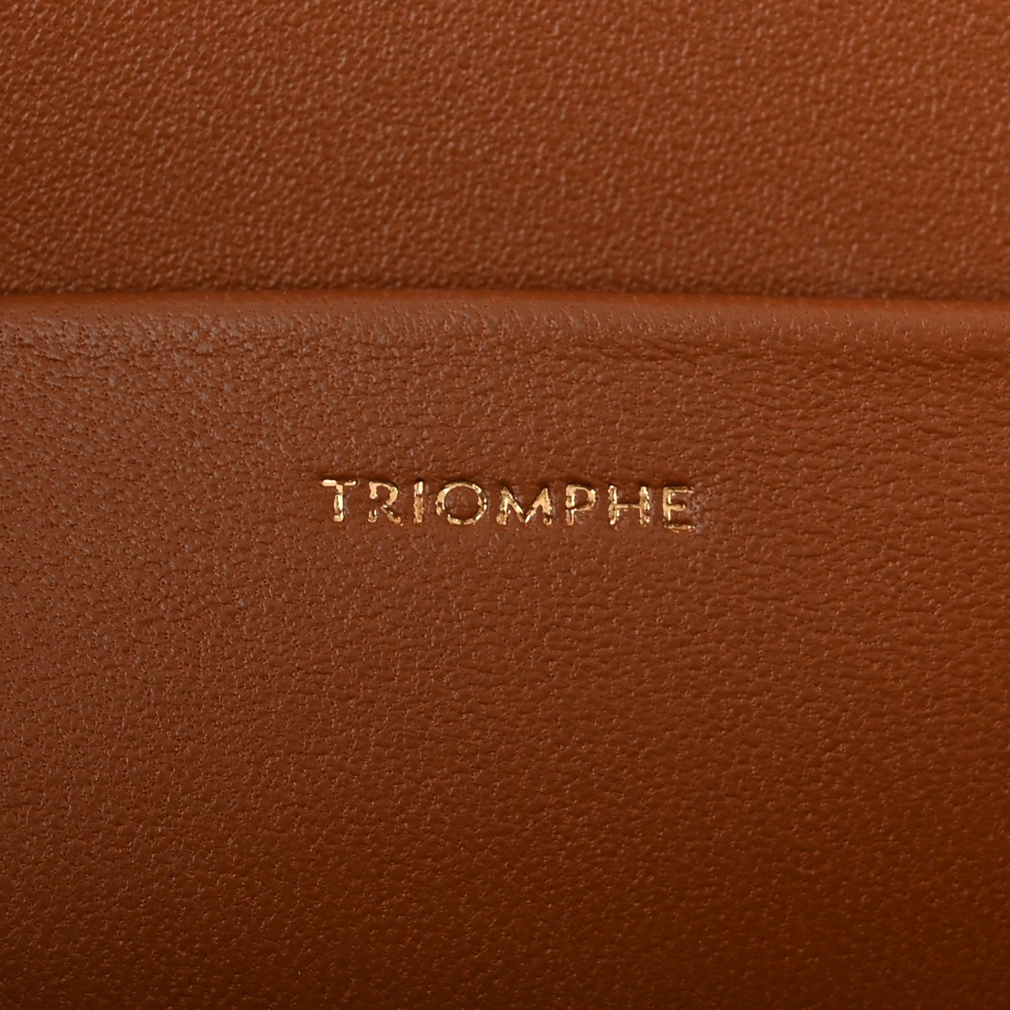 Calfskin Triomphe Canvas Teen Triomphe Bag Tan