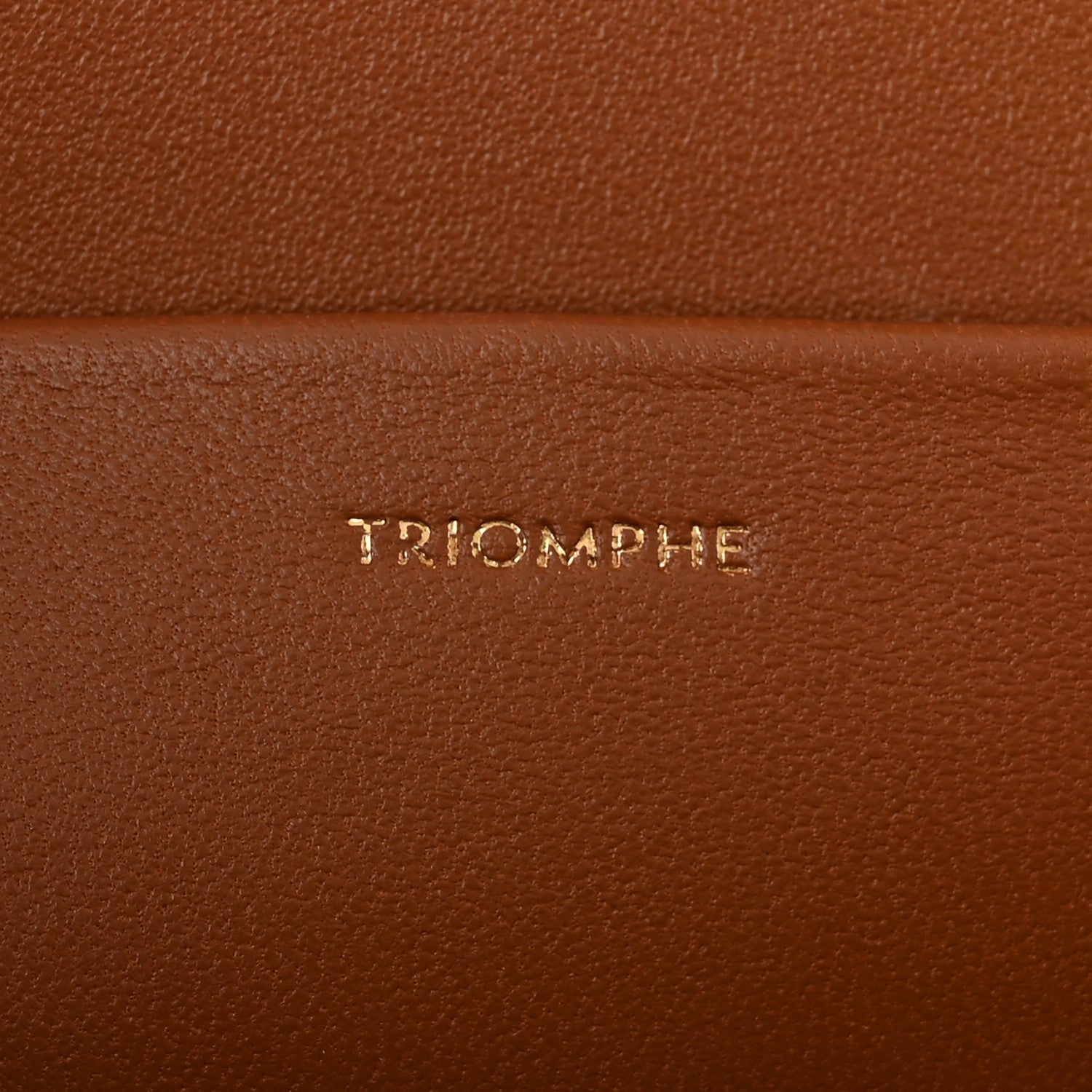 Celine Calfskin Triomphe Canvas Teen Triomphe Bag Tan 9 of 12