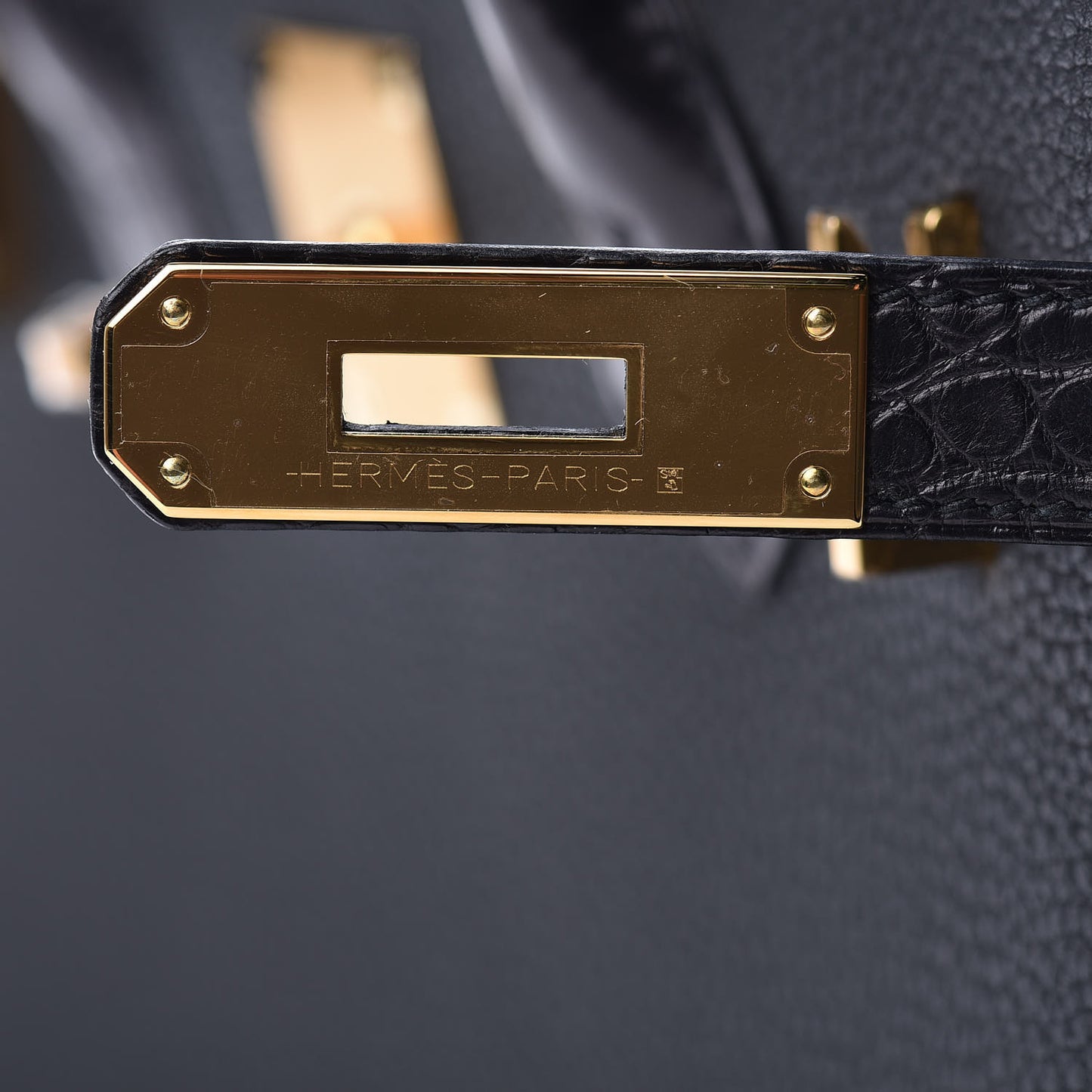 Togo Matte Alligator Birkin Touch 30 Black