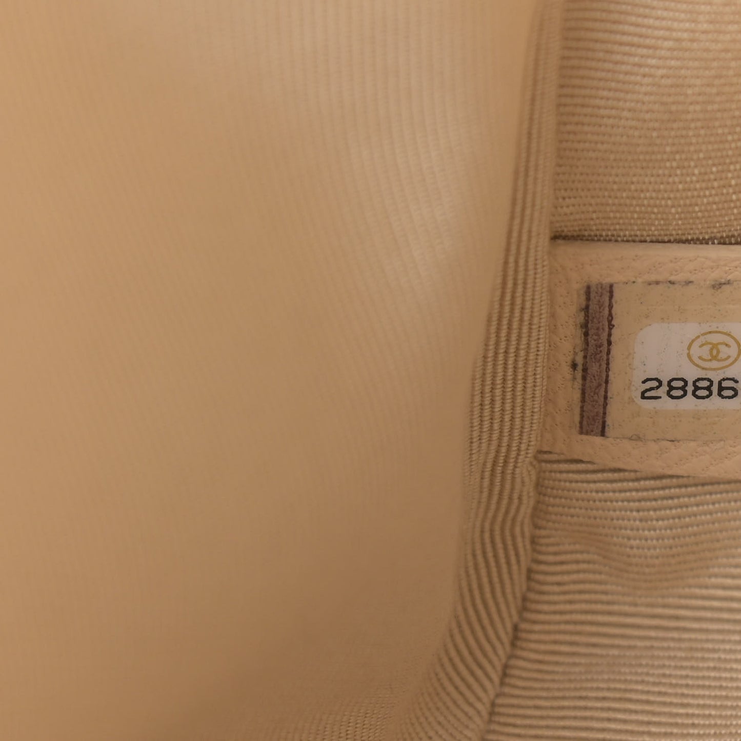 Lambskin Quilted Medium Chanel 19 Flap Beige