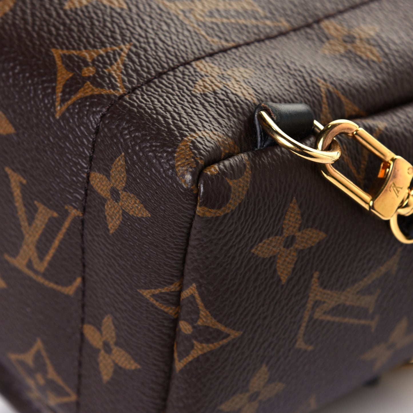 Monogram Palm Springs Backpack Mini