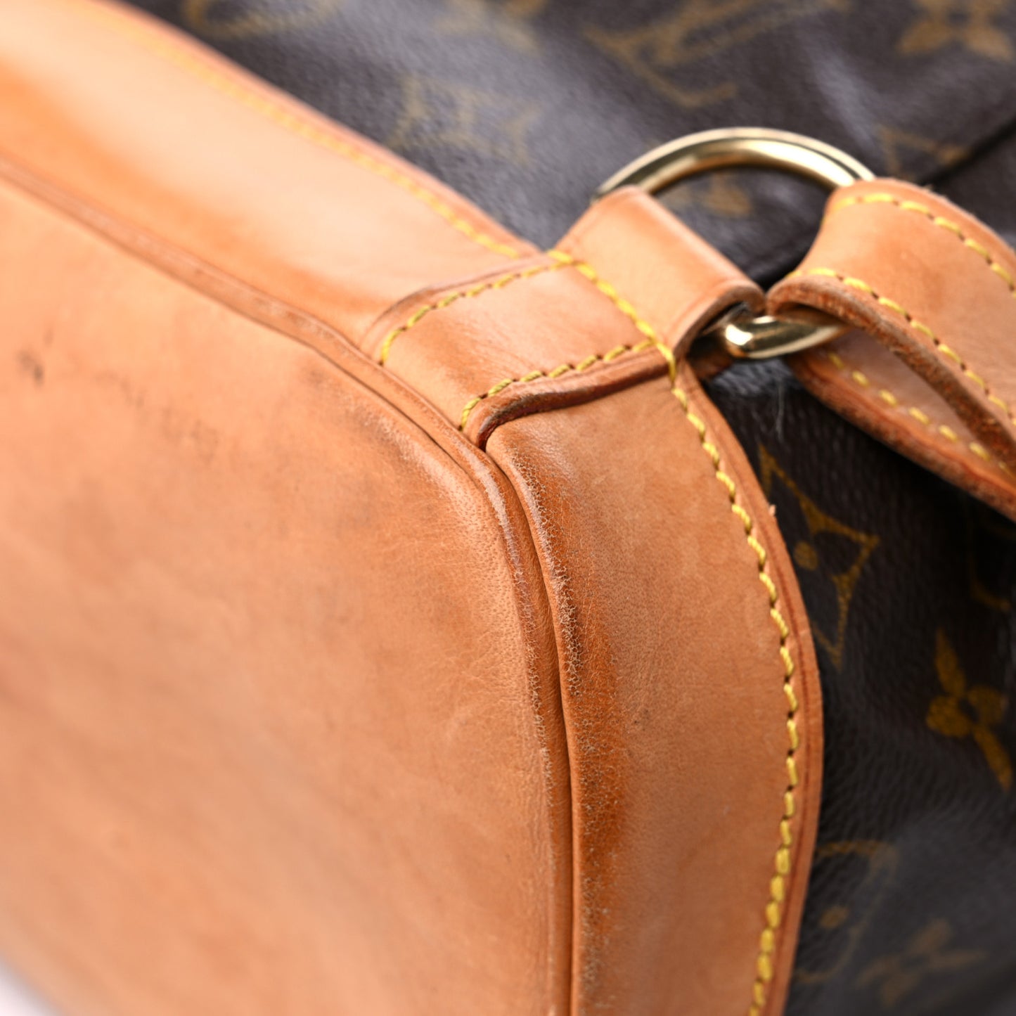 Monogram Montsouris GM Backpack
