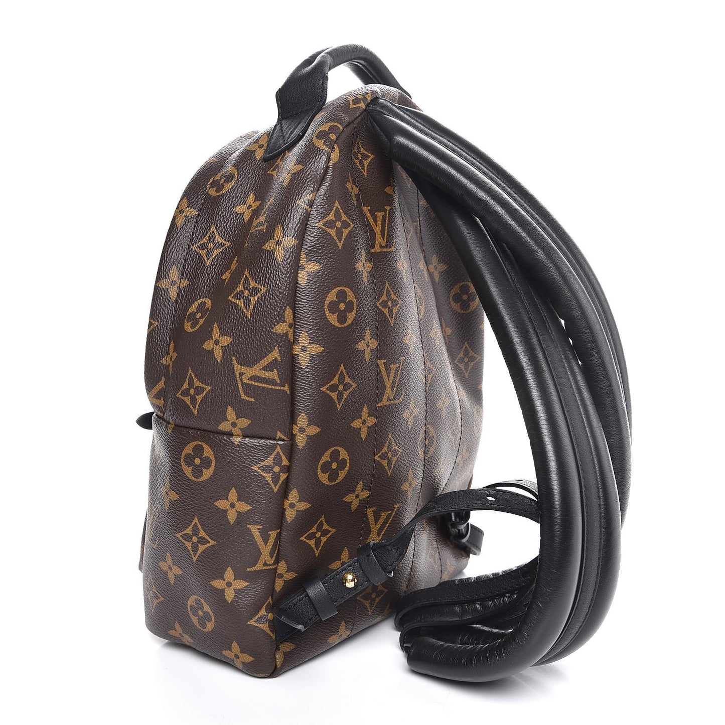 Monogram Palm Springs Backpack PM