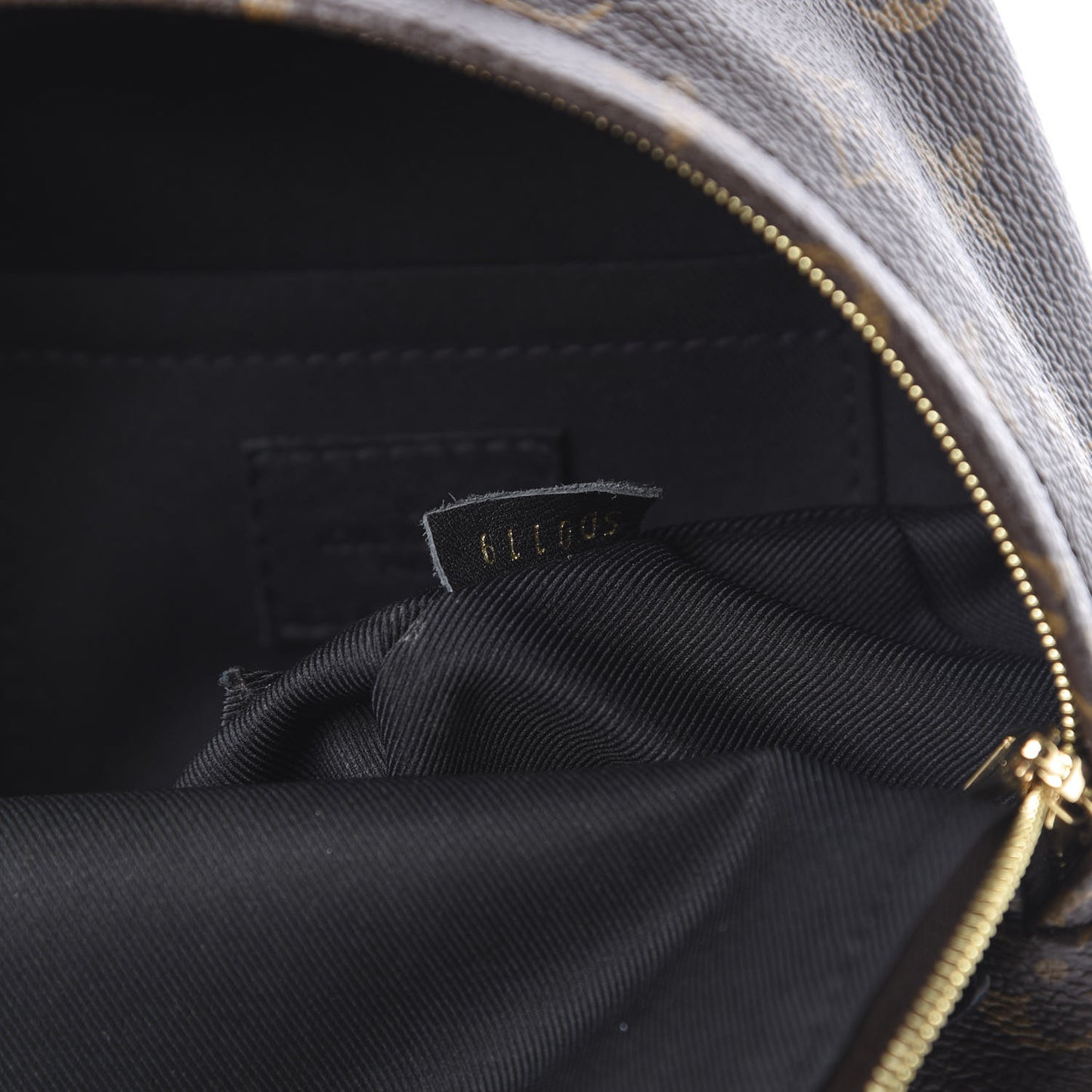 Monogram Palm Springs Backpack Mini