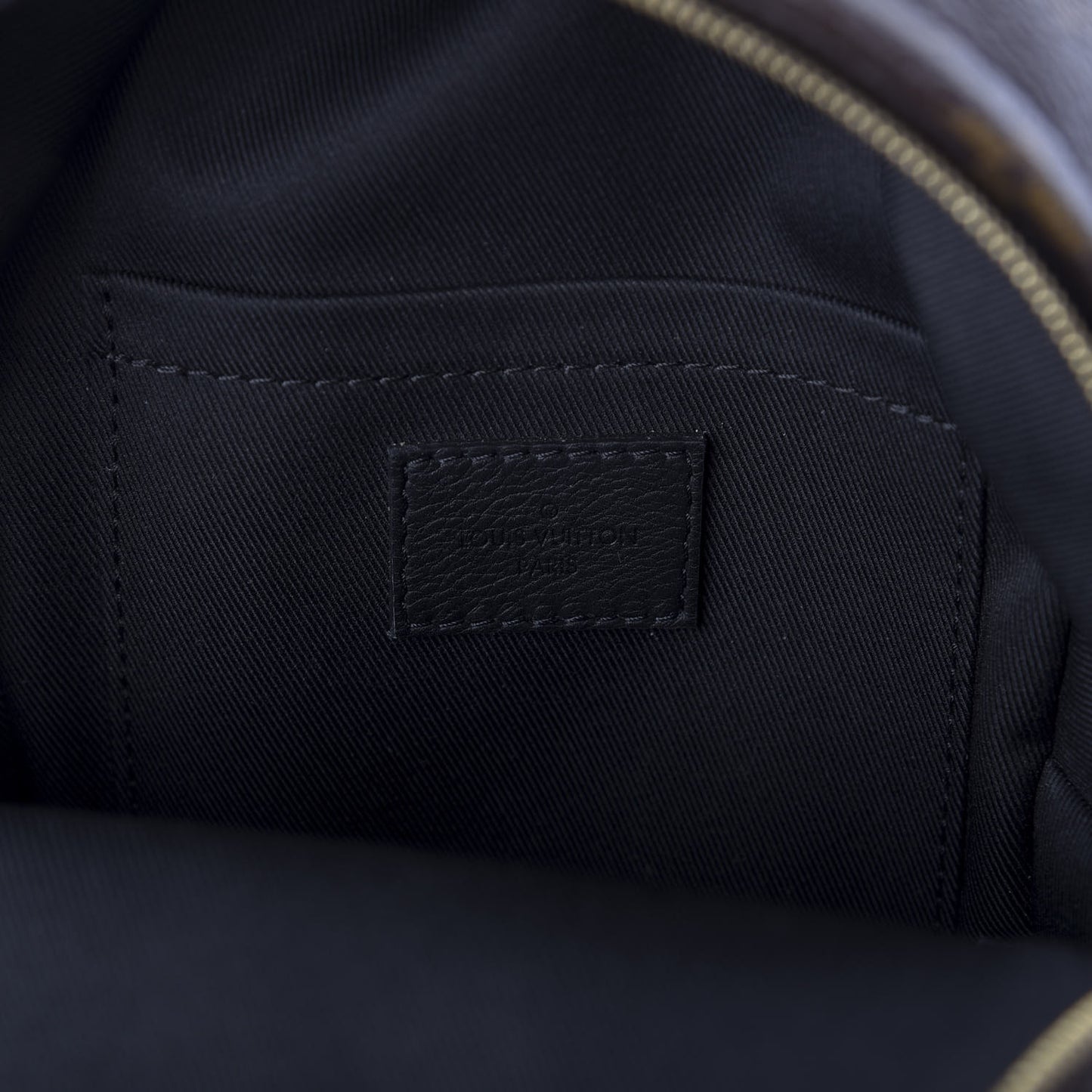 Monogram Palm Springs Backpack Mini