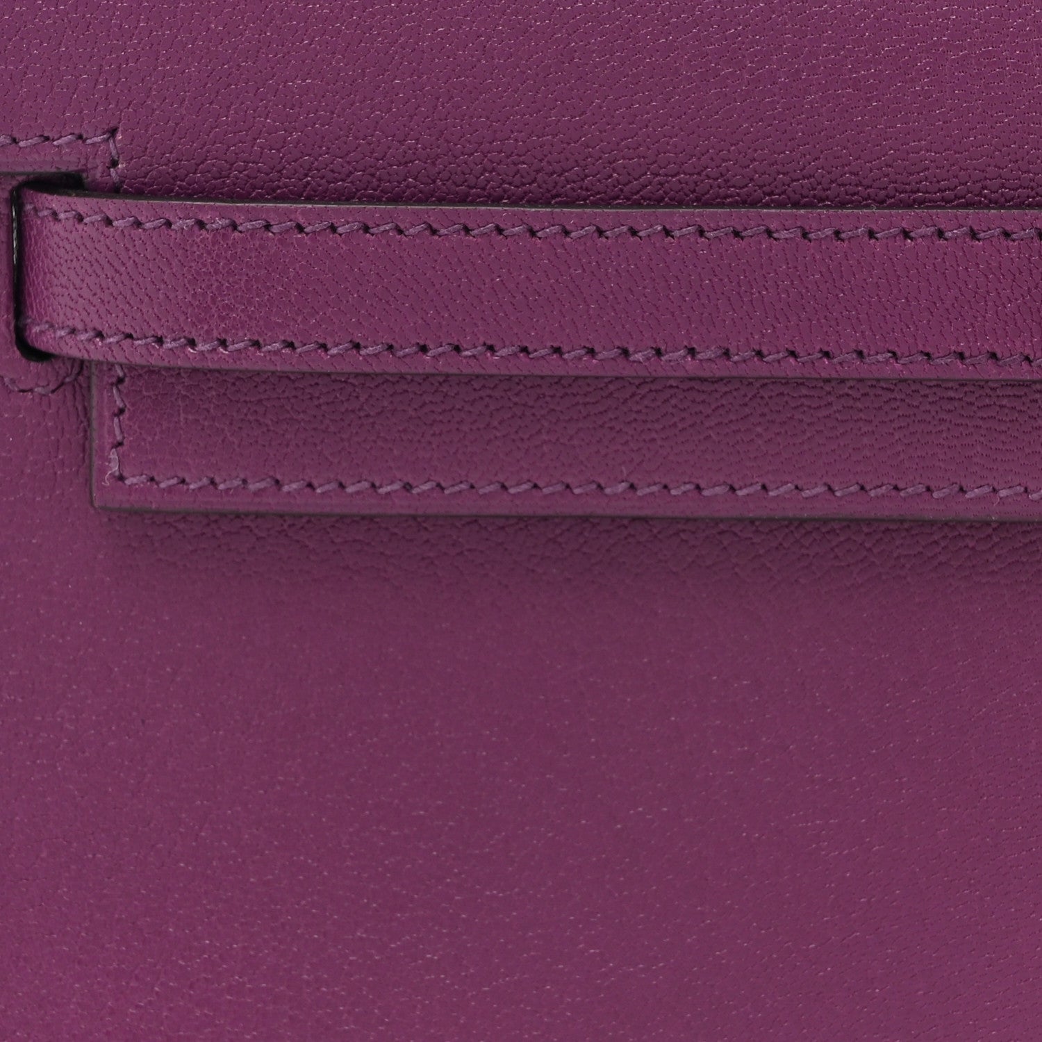 Hermes Chevre Chamkila Kelly Elan Anemone 8 of 11