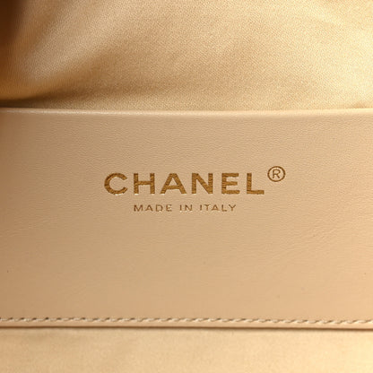 Chanel Pony Hair Mini Chanel 25 Handbag Beige Black 5 of 9