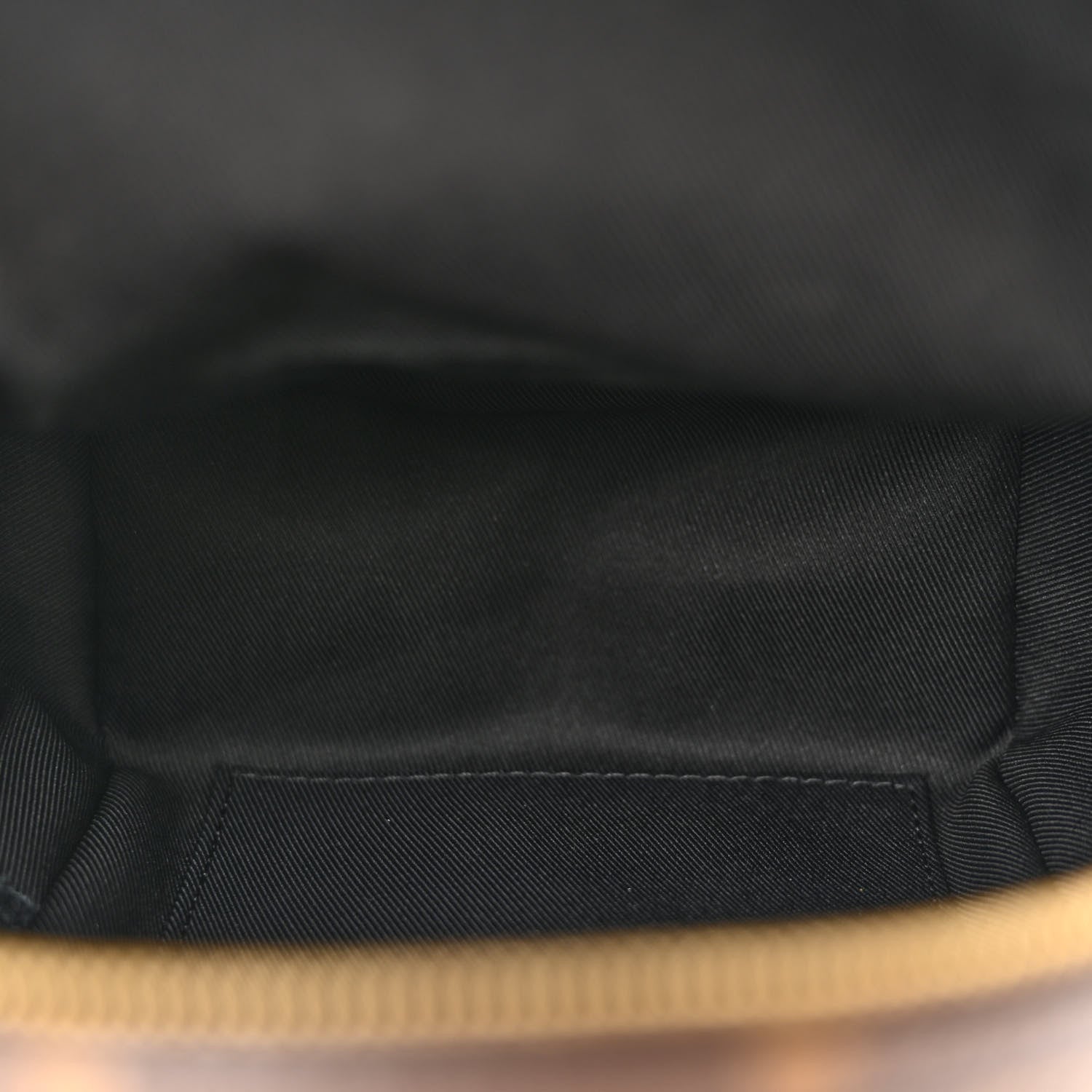 Louis Vuitton Monogram Palm Springs Backpack Mini 5 of 10