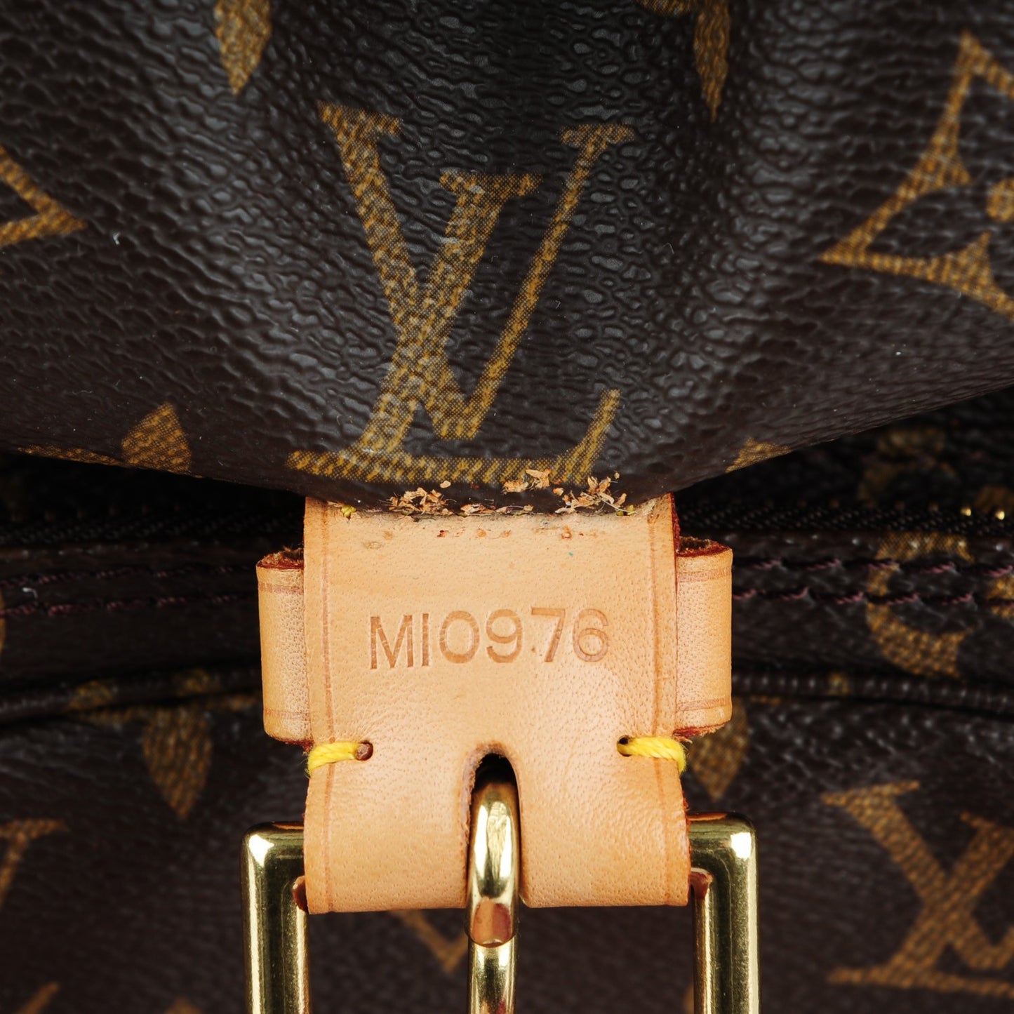 Monogram Montsouris GM Backpack