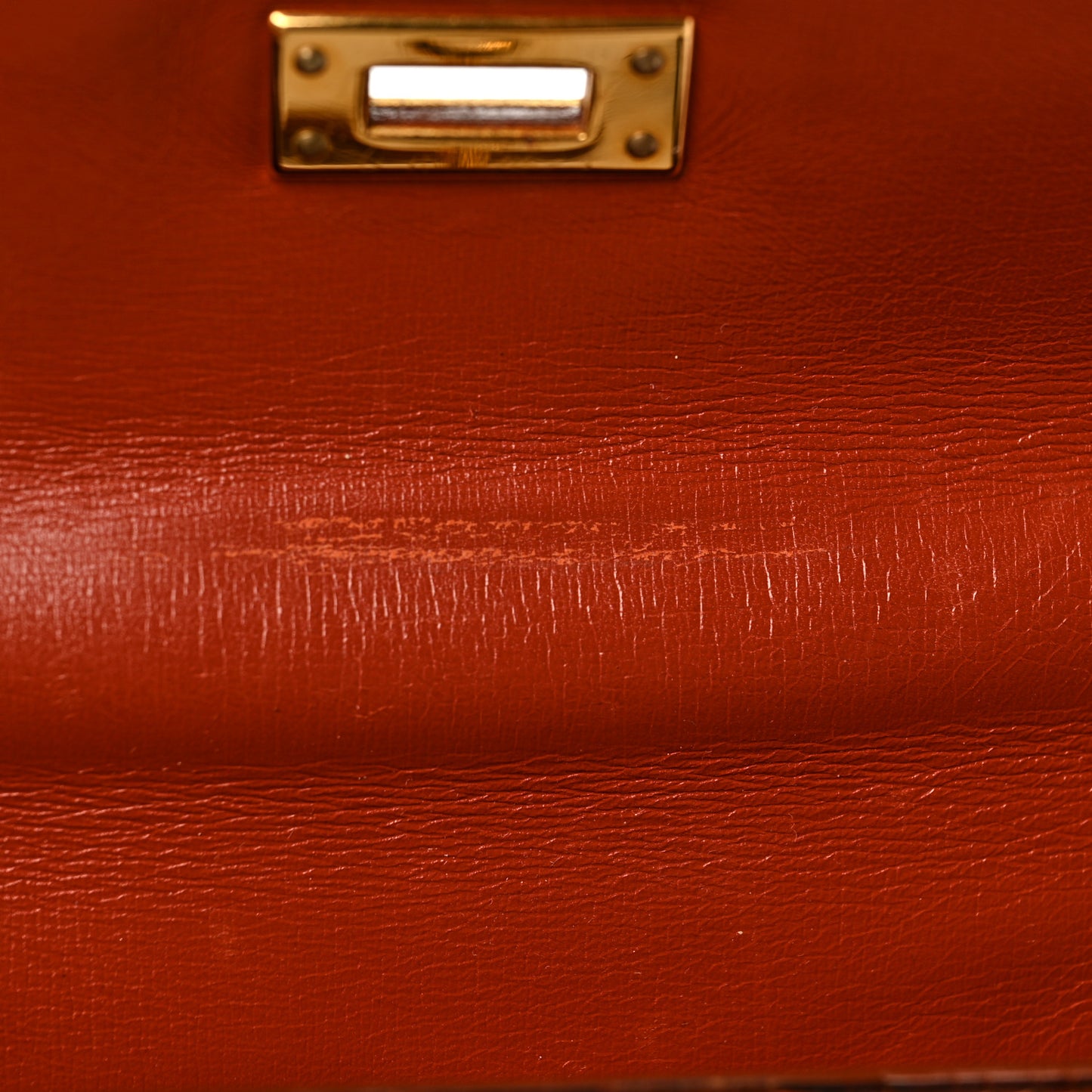 Shiny Niloticus Crocodile Kelly Sellier 20 Miel