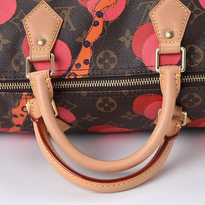 Louis Vuitton Monogram Ramages Speedy 30 Grenade 8 of 8