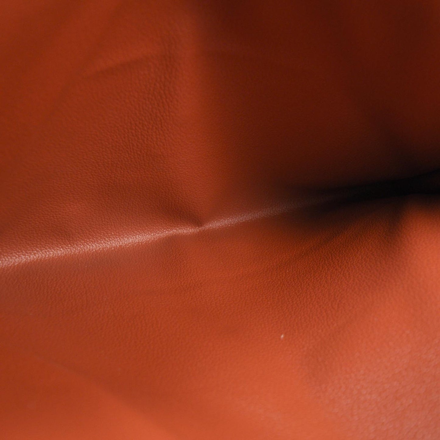 Americas Cup Document Portfolio Case Red