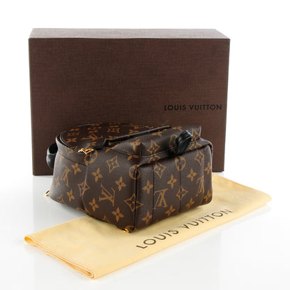 Louis Vuitton Monogram Palm Springs Backpack Mini 4 of 7