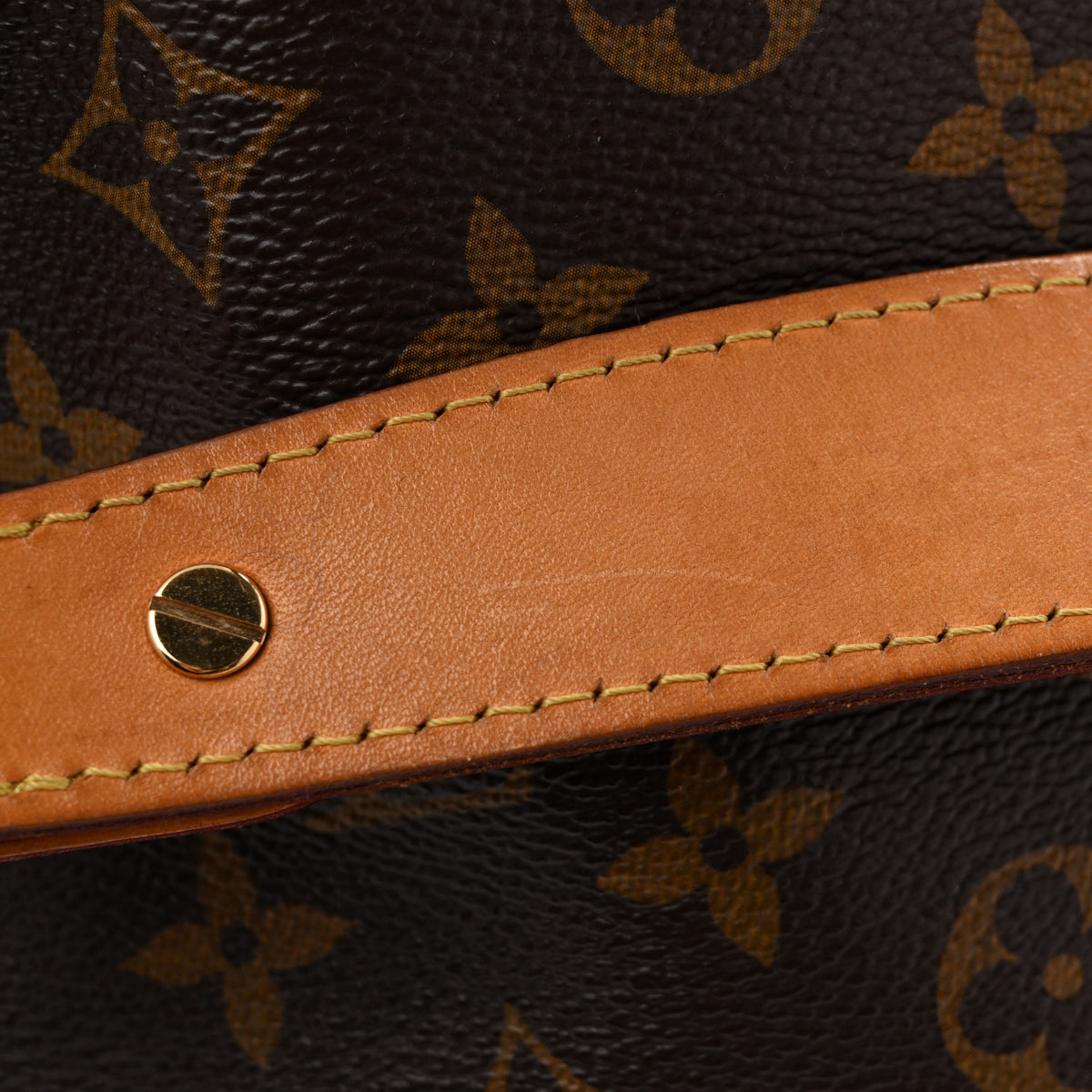 Monogram Delightful MM