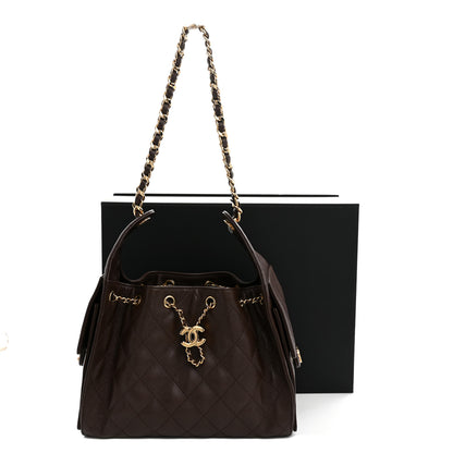Chanel Caviar Quilted Small Chanel 25 Handbag Dark Brown 11 of 11