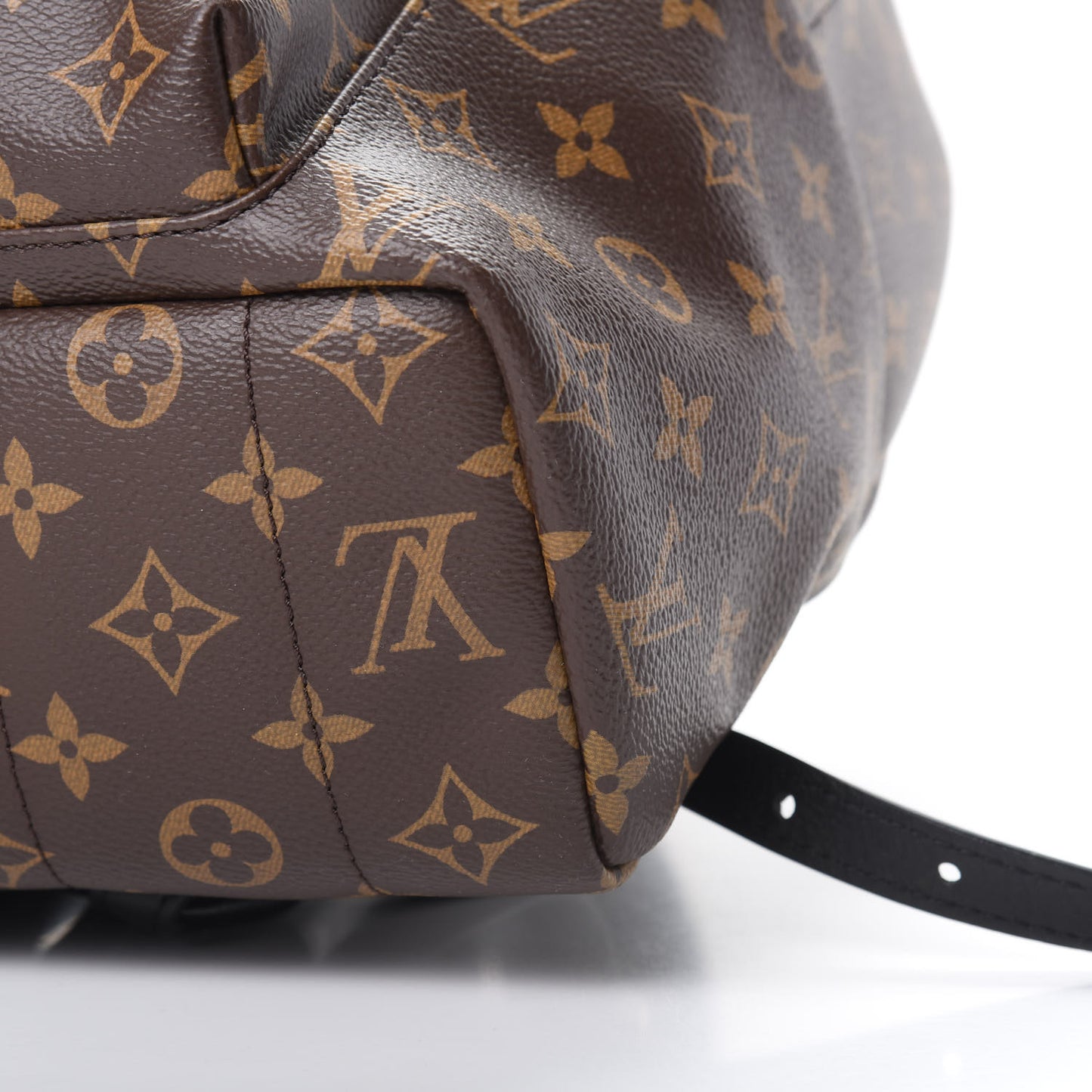 Monogram Palm Springs Backpack MM