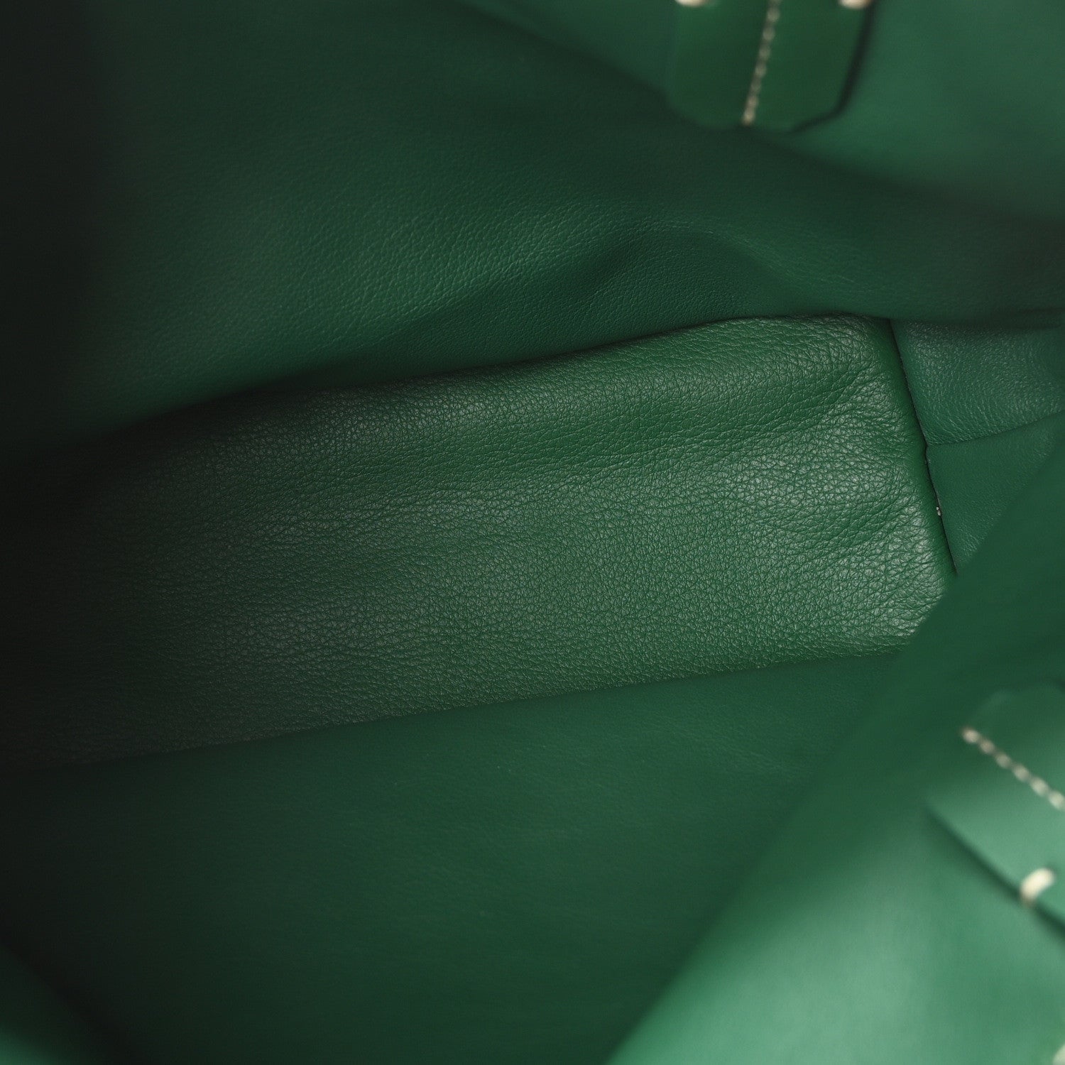 Goyard Goyardine Reversible Mini Anjou Green 6 of 16