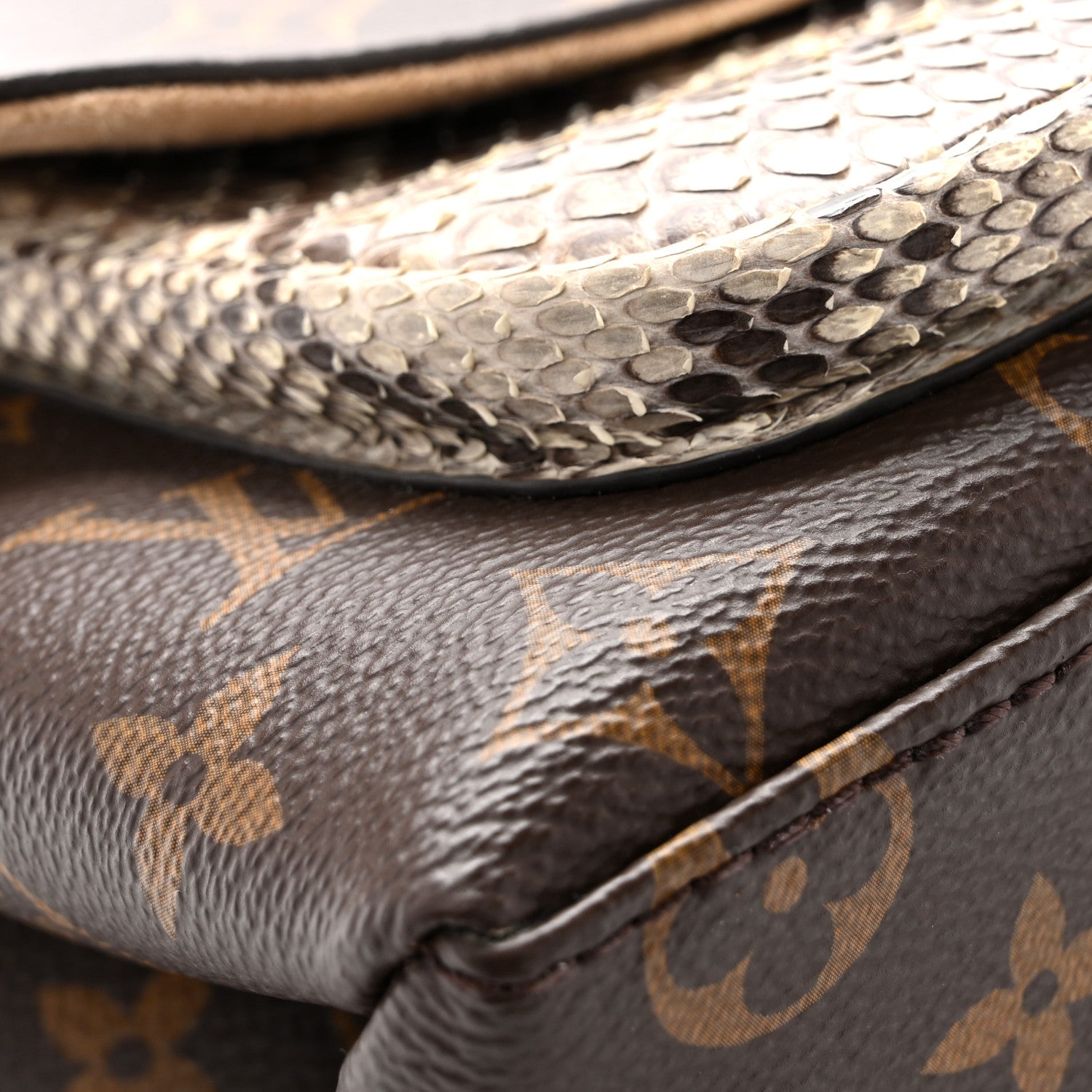 Louis Vuitton Monogram Snakeskin Marignan 13 of 13
