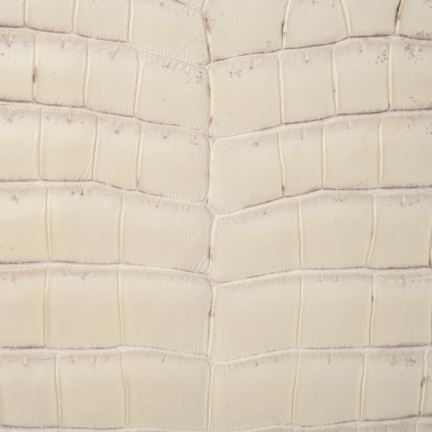 Matte Niloticus Crocodile Himalaya Birkin 30 Blanc