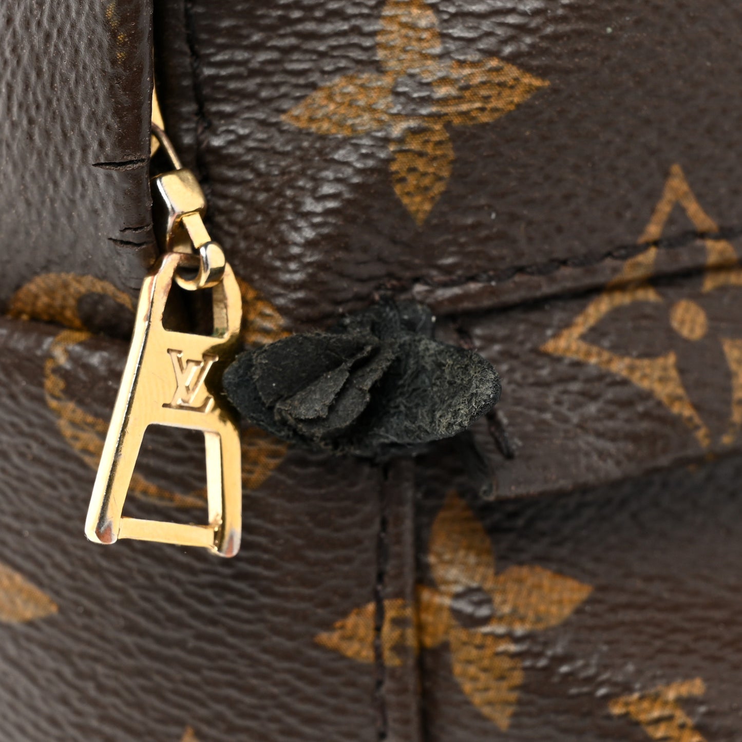 Monogram Palm Springs Backpack Mini