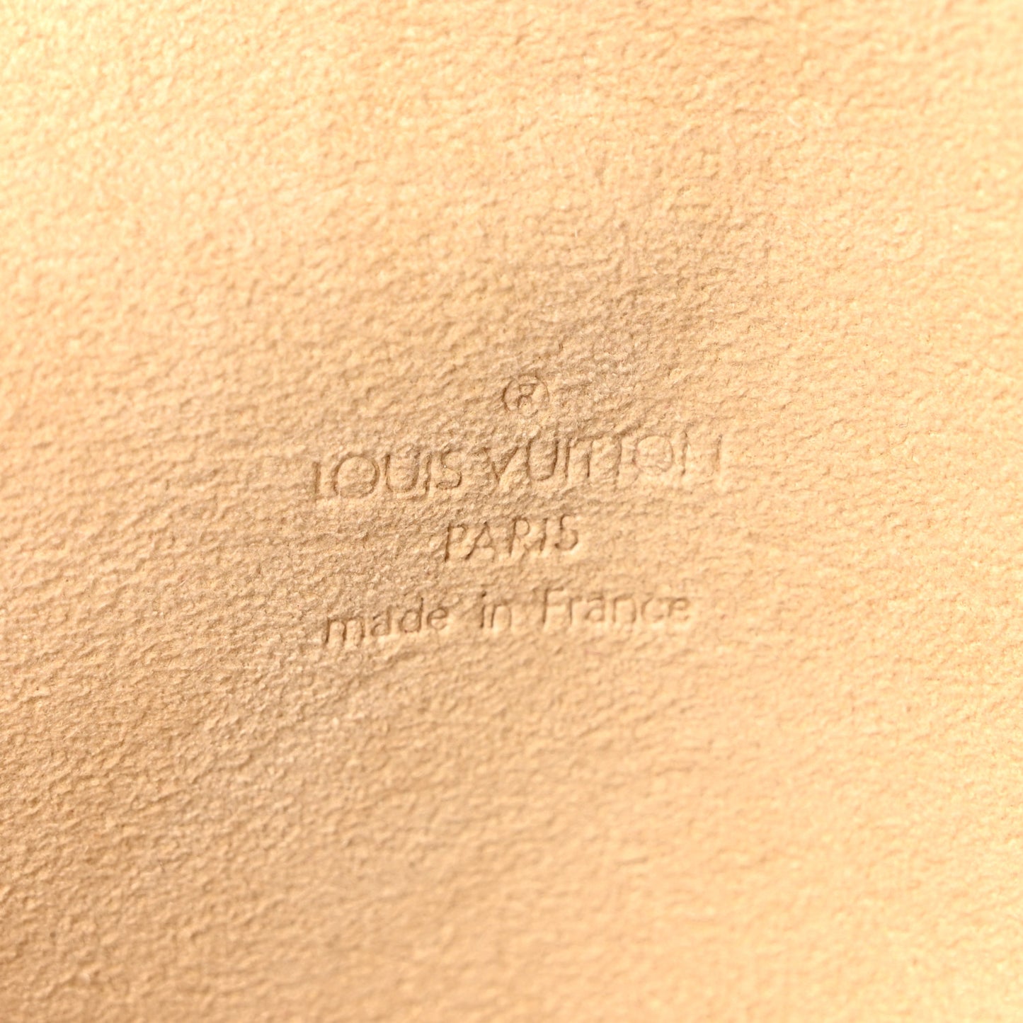 Monogram Pochette Florentine S