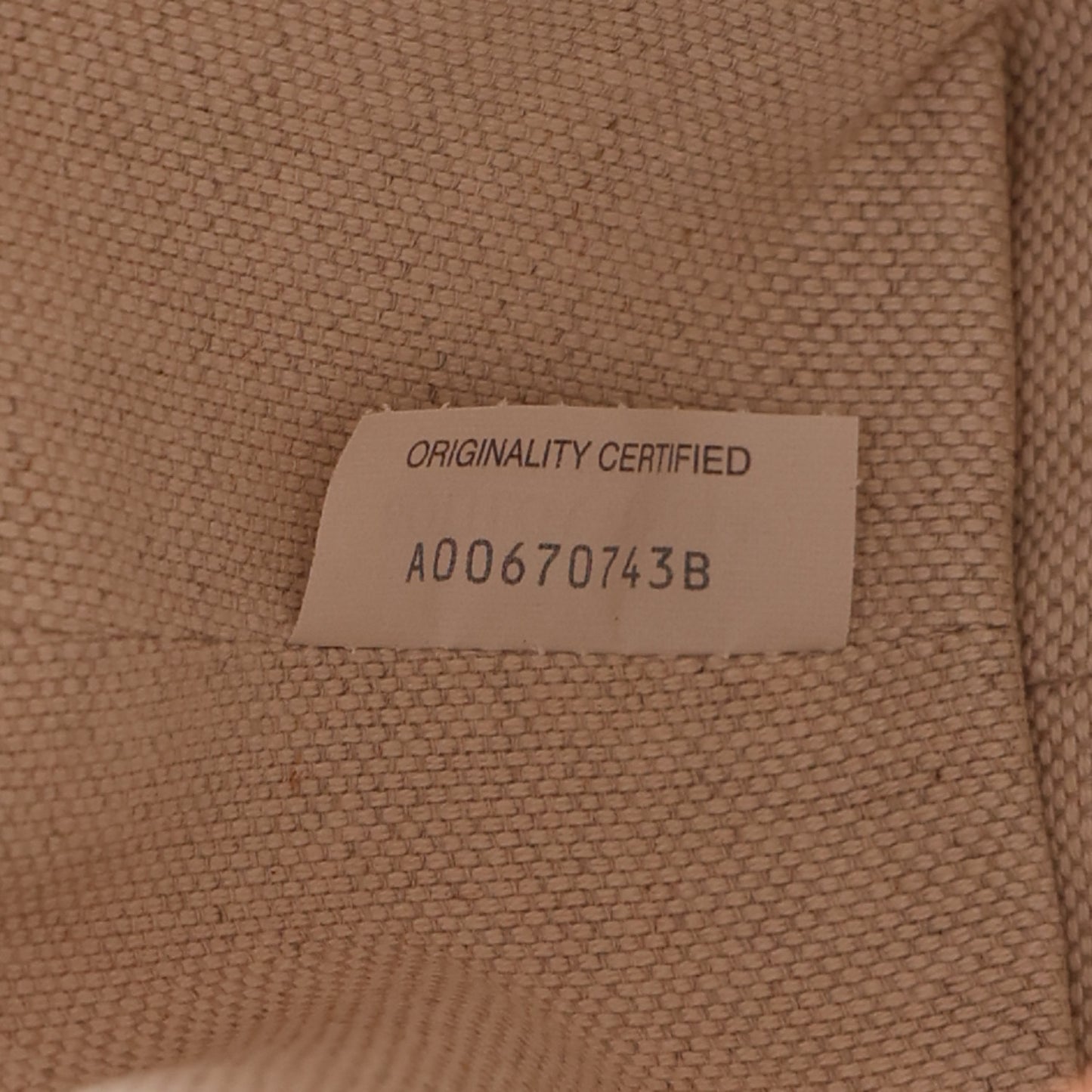 Raffia Woven Nappa Intrecciato Mini Wallace Natural Fondant