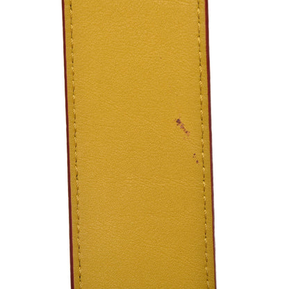 Louis Vuitton Epi Bandouliere Shoulder Strap 4 of 6