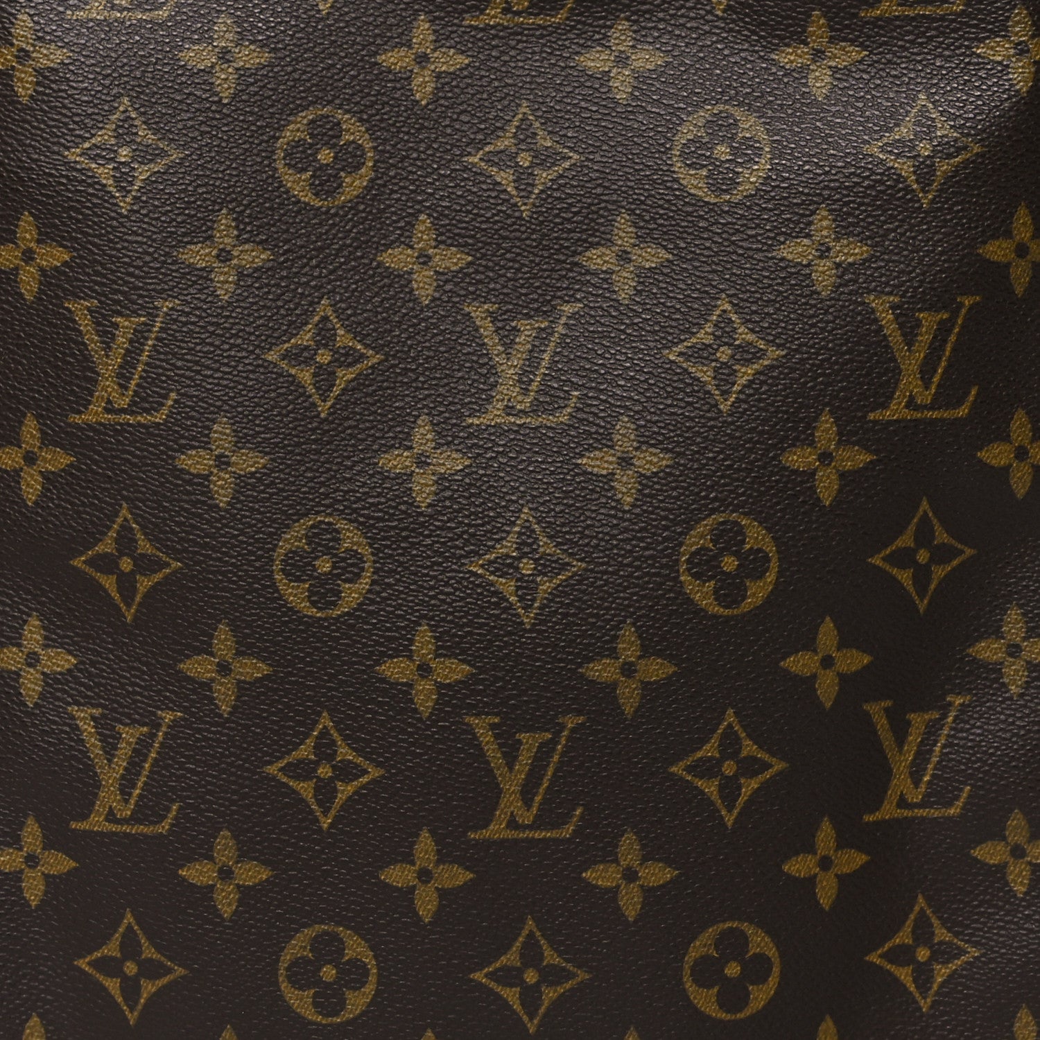 Louis Vuitton Monogram Excursion Shoe Bag 9 of 14