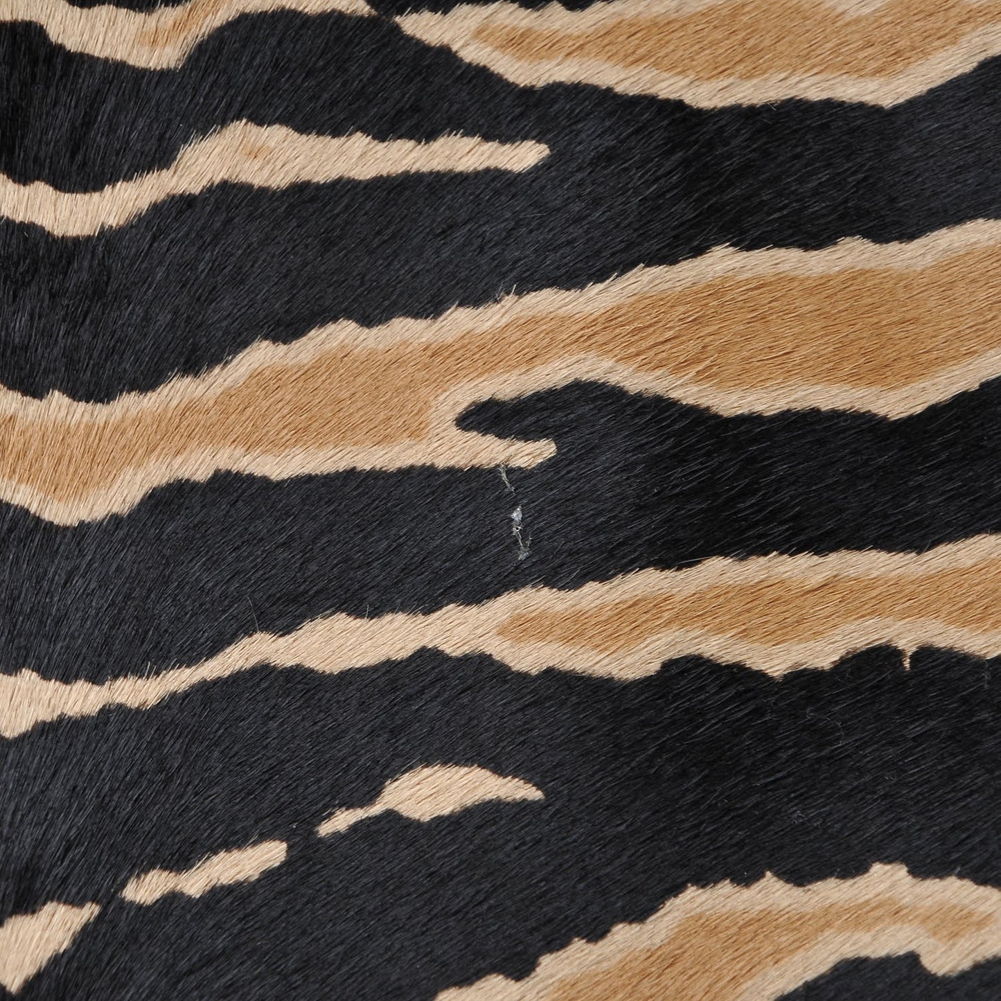 Calf Hair Zebra Print Medium Craft Tote Black