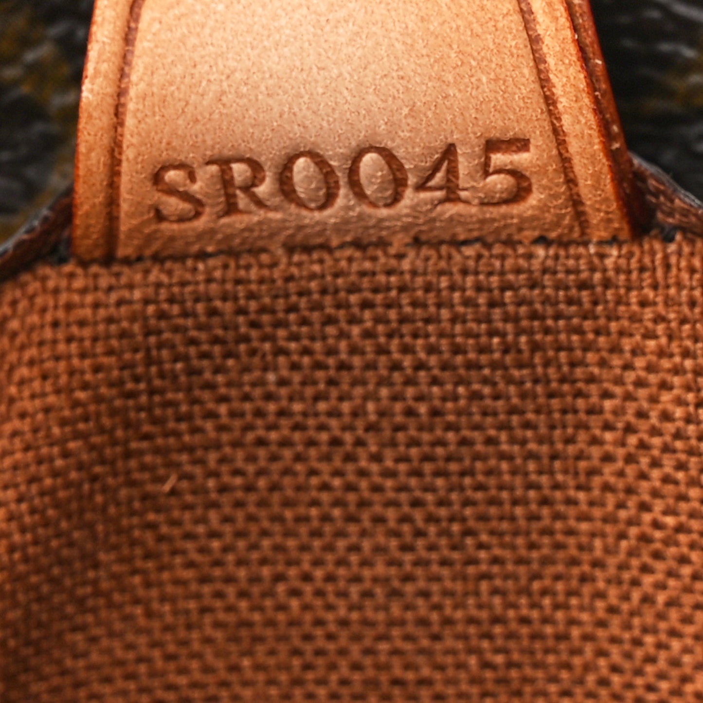 Monogram Vavin PM