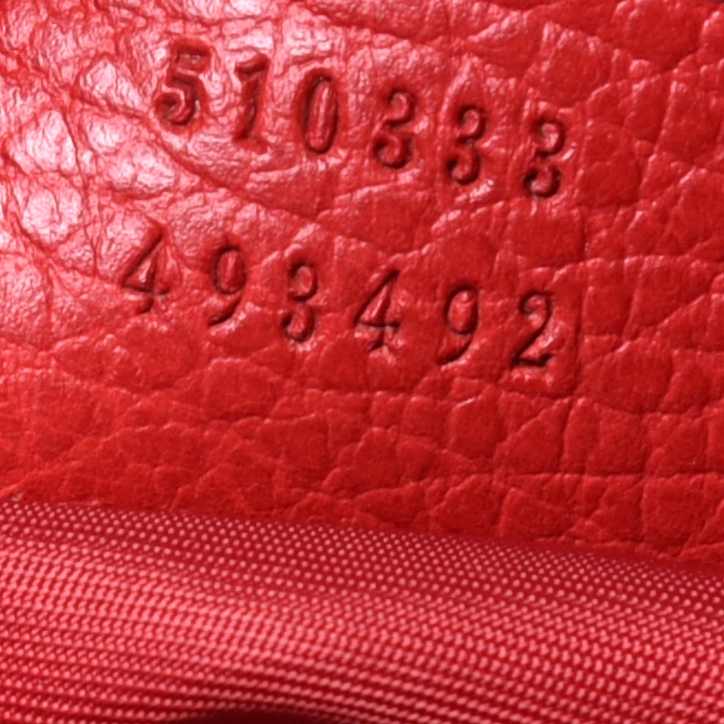 Nylon Monogram Dollar Calfskin Medium Vertical Tote Vibrant Red