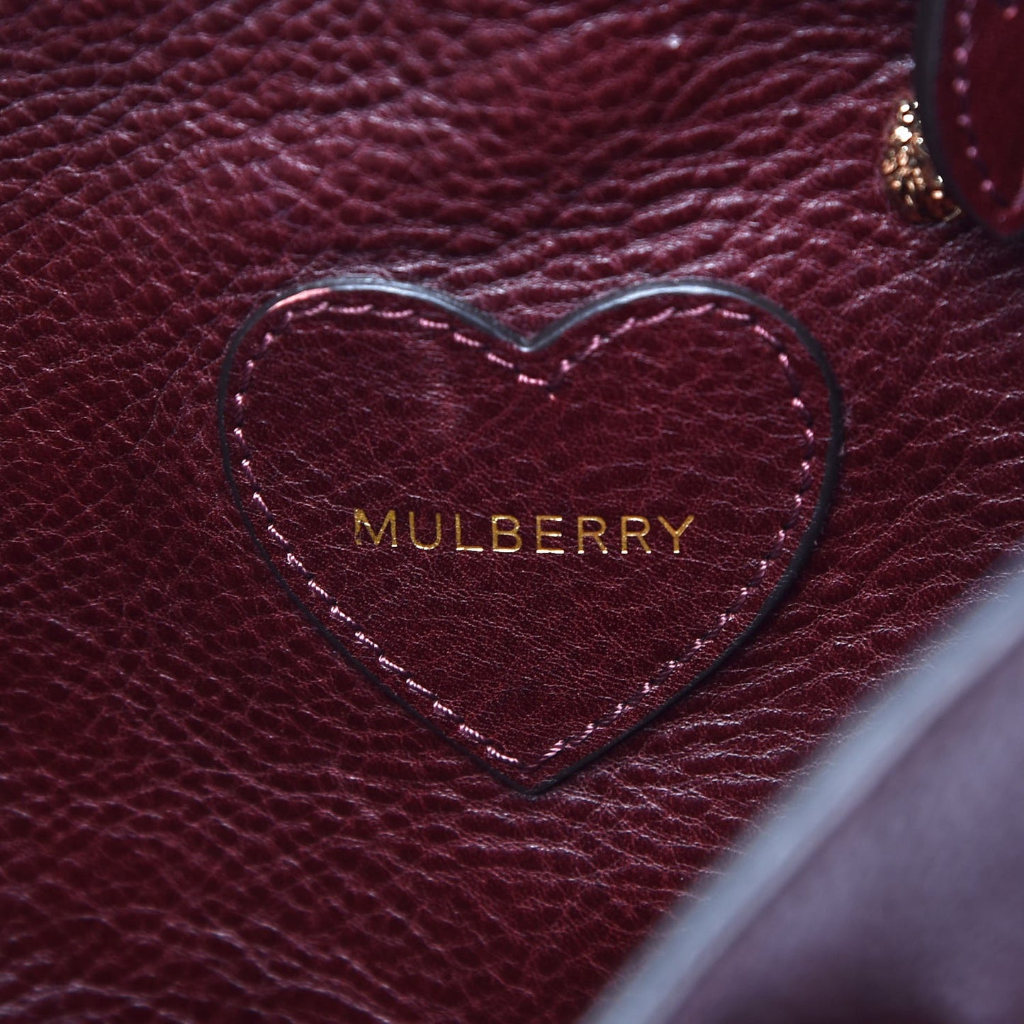 Natural Leather Cara Delevigne Convertible Satchel Oxblood