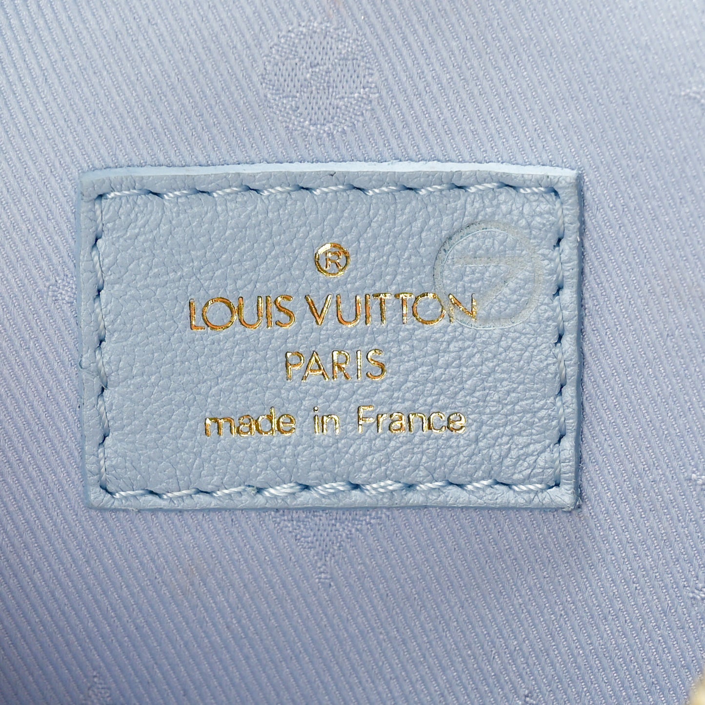 Calfskin Bubblegram Over The Moon Ice Blue