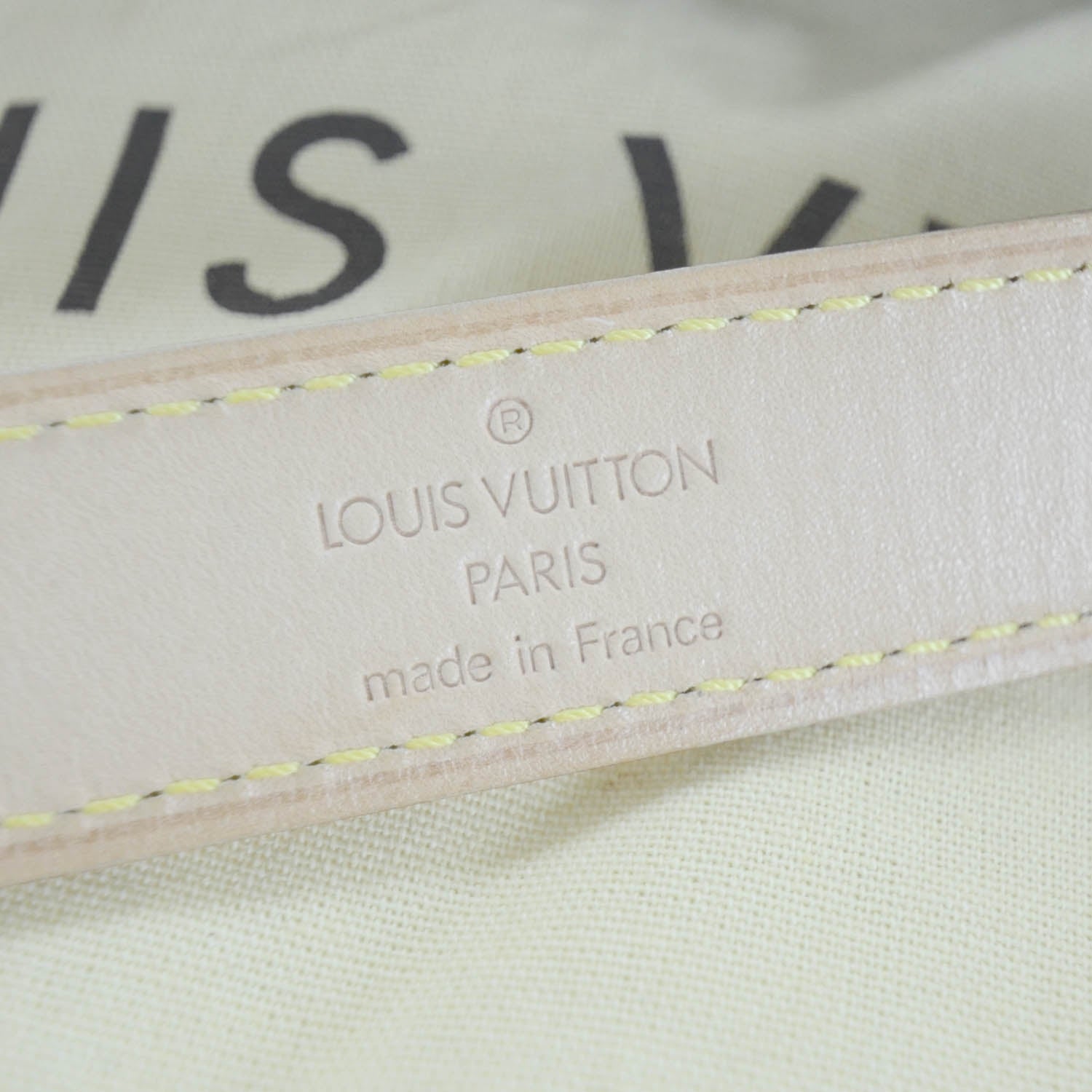 Louis Vuitton Monogram Hudson PM 11 of 12