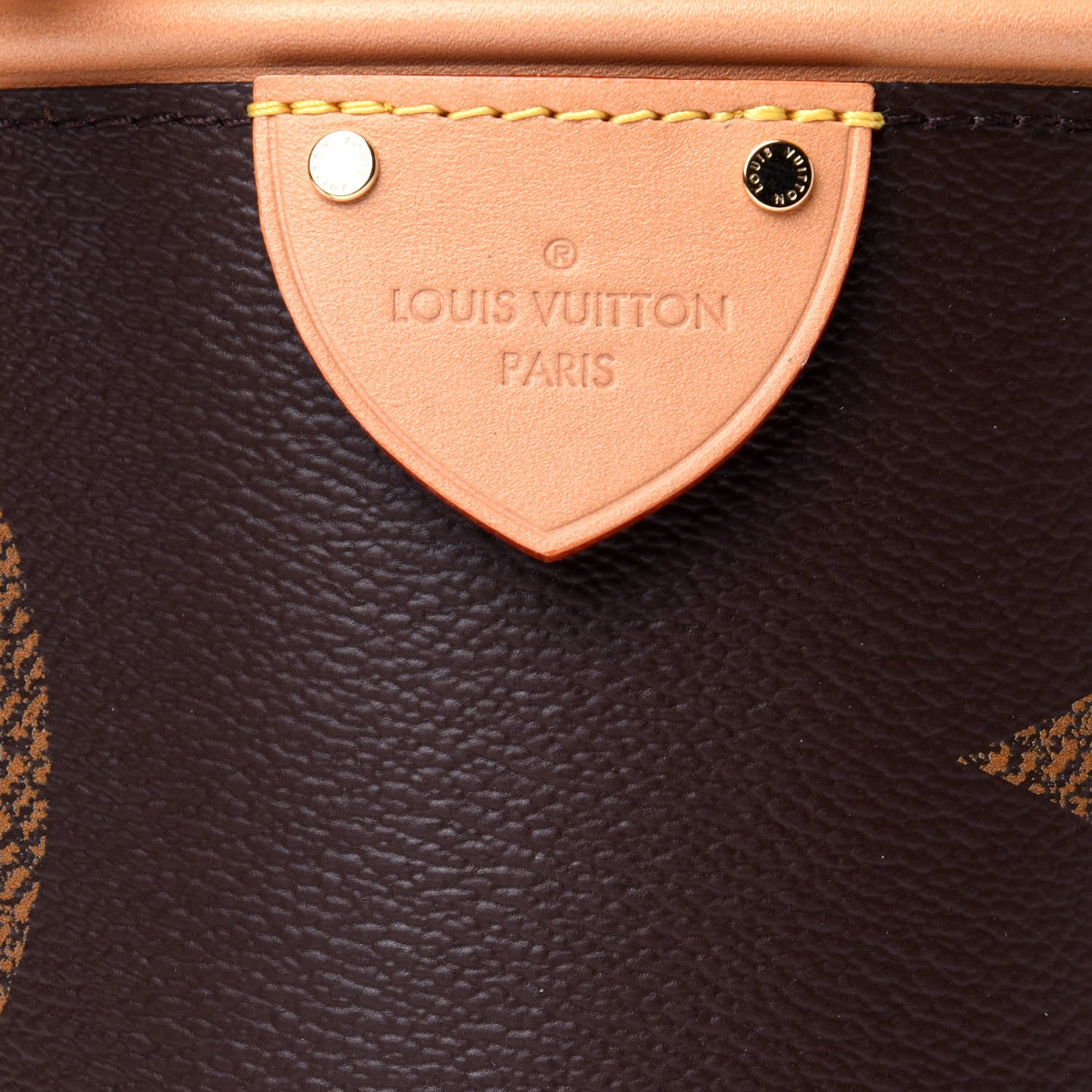 Louis Vuitton Monogram Giant Cannes 6 of 9