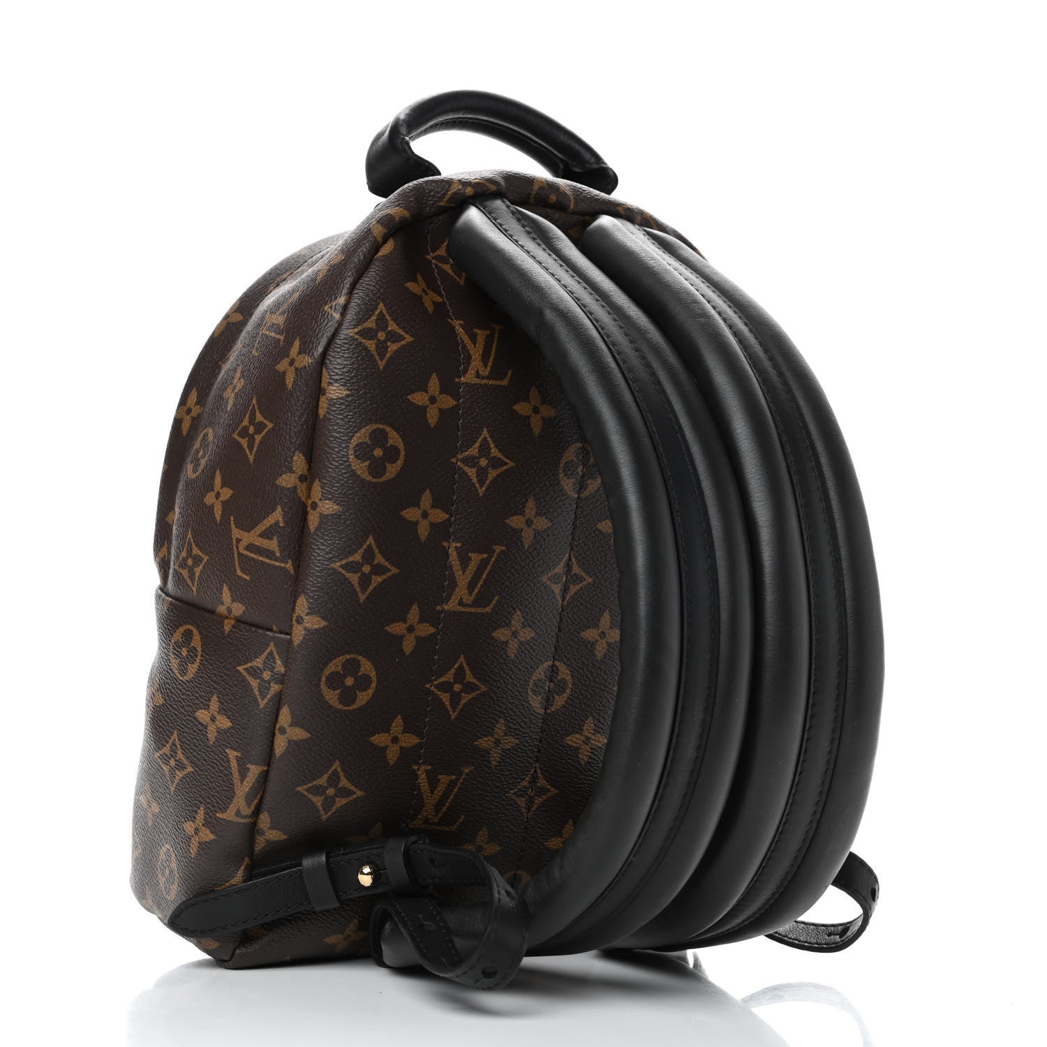 Louis Vuitton Monogram Palm Springs Backpack PM 3 of 5