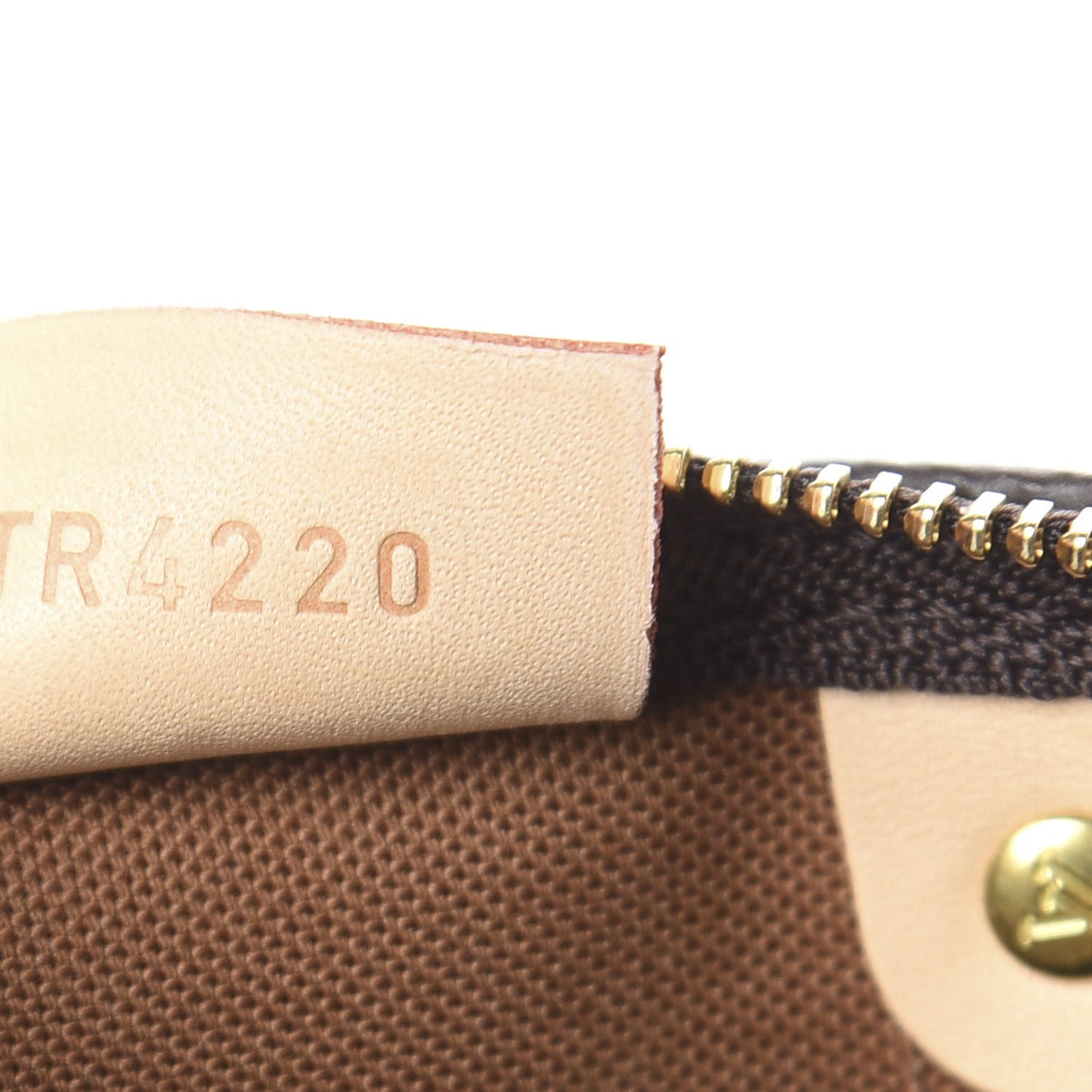 Monogram Nano Speedy