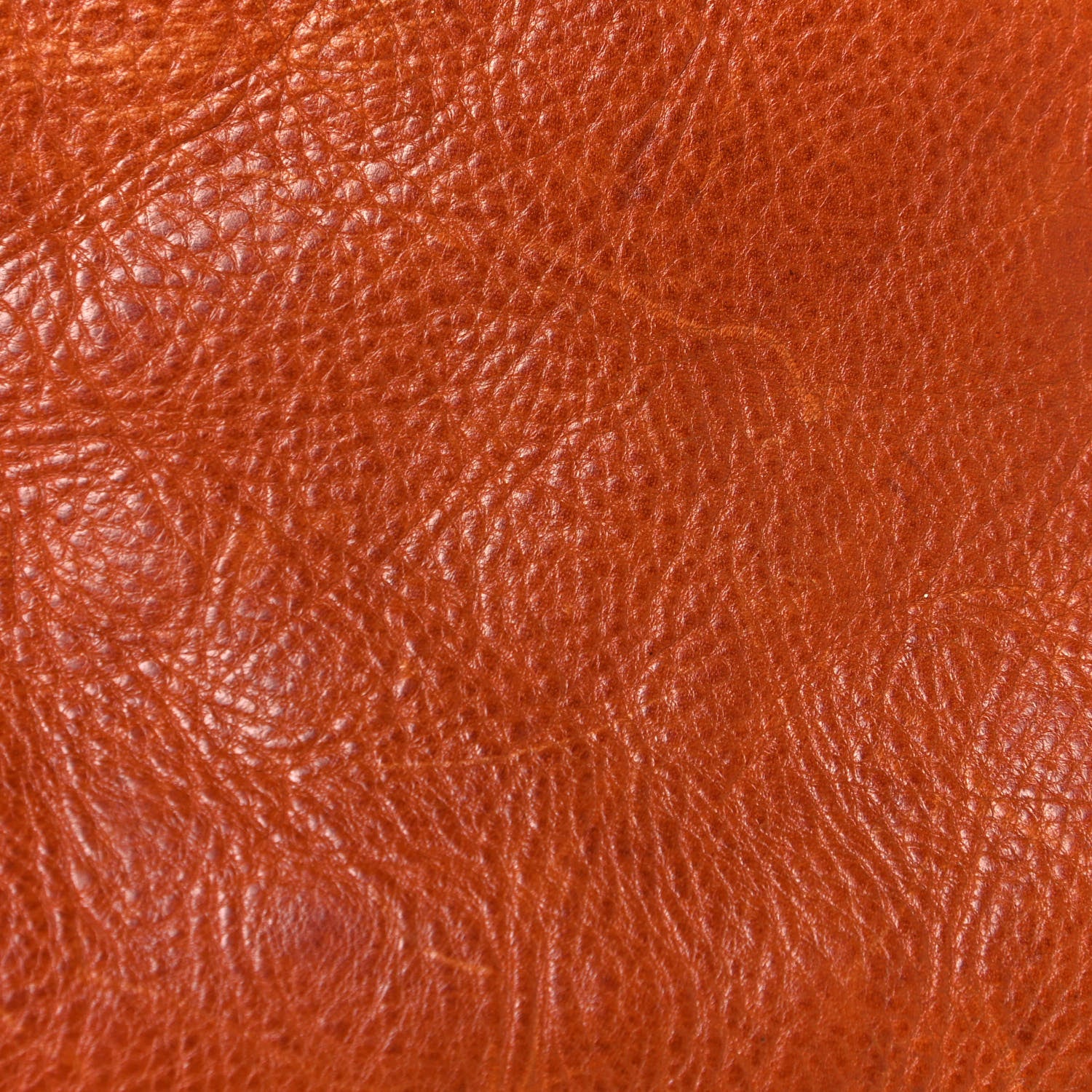 Mulberry Grained Calfskin Tooled Darwin Bayswater Oak 21 of 25