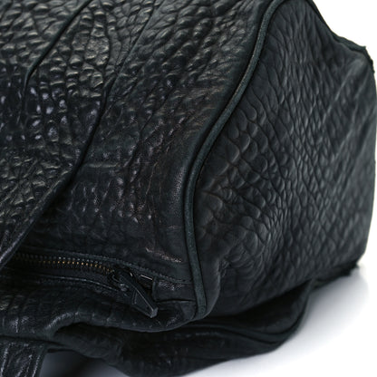 Alexander Wang Pebbled Lambskin Rockie Black Matte Black Hardware 10 of 15