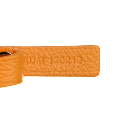 Goyard Goyardine Saint Louis PM Yellow 8 of 11