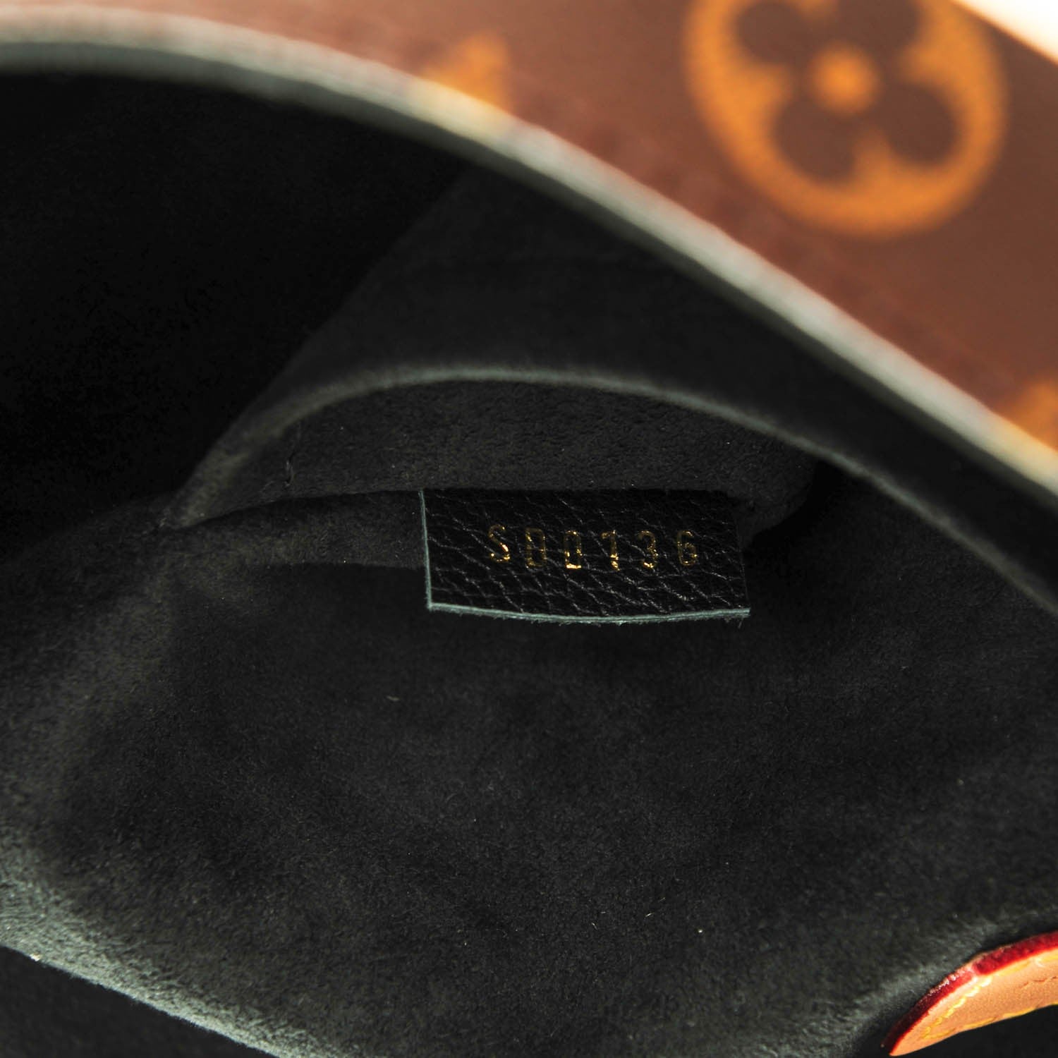 Louis Vuitton Monogram Gaia Black 8 of 8