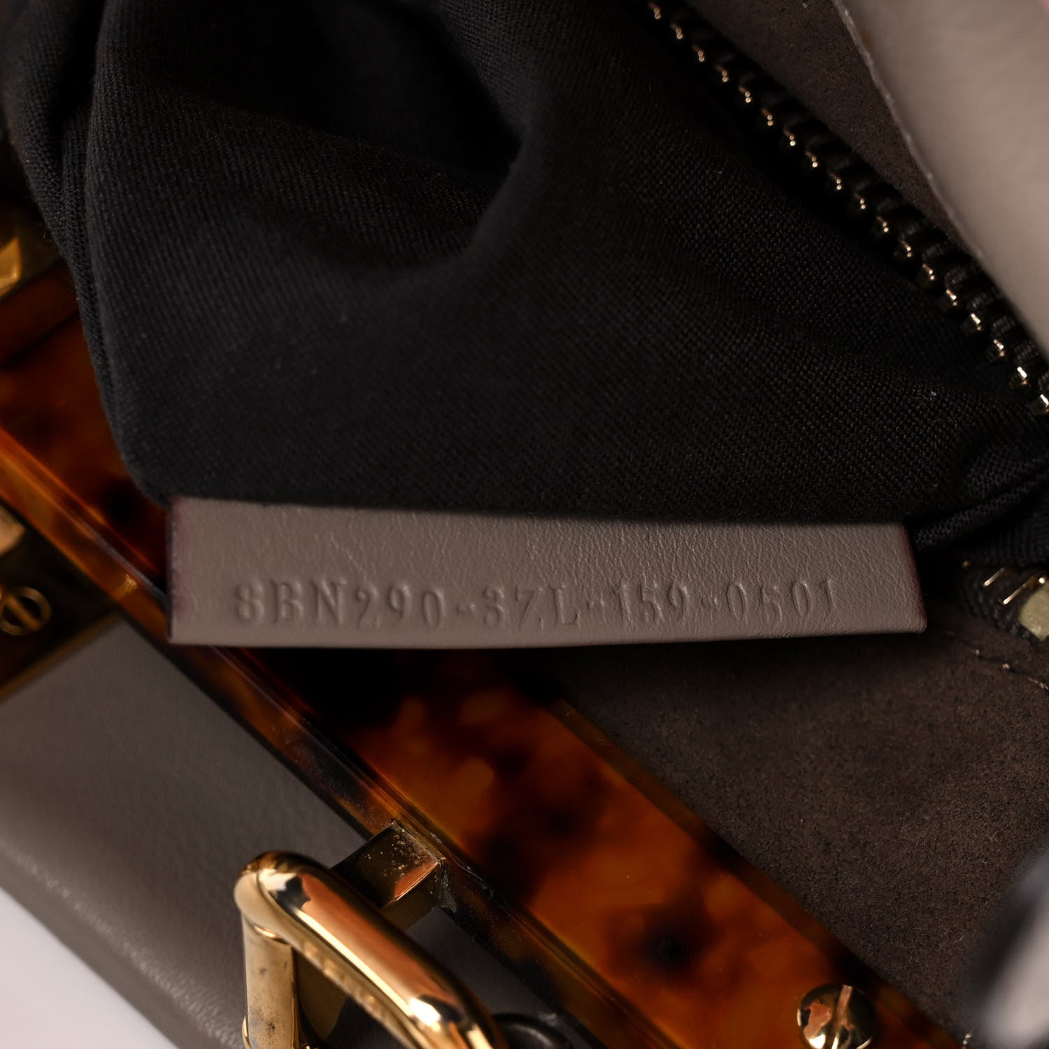 Fendi Vitello Seta Plexiglass Tortoise Medium Peekaboo Iconic Satchel Tortora 12 of 13