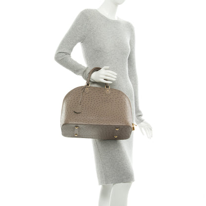 Louis Vuitton Ostrich Alma GM Gris 2 of 8