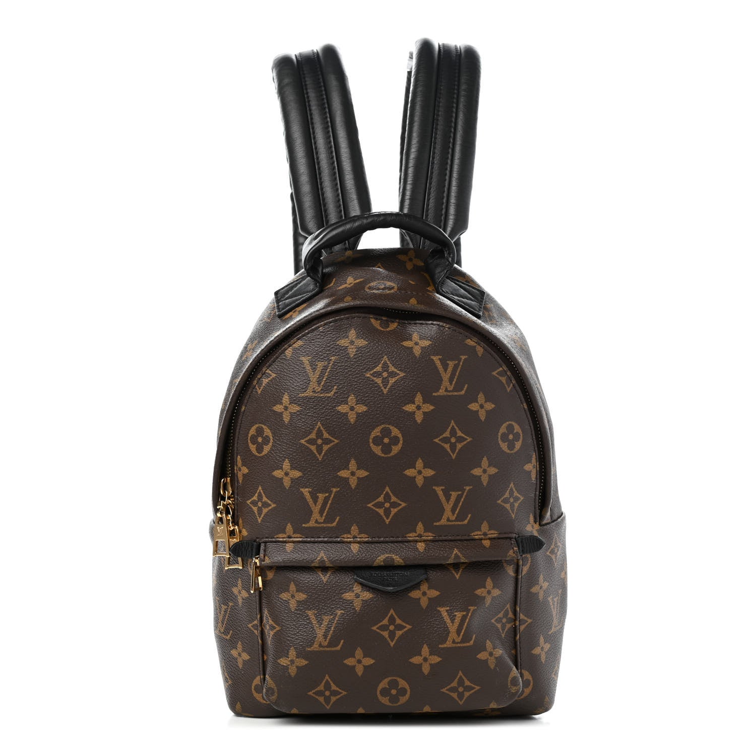 Louis Vuitton Monogram Palm Springs Backpack PM 1 of 4