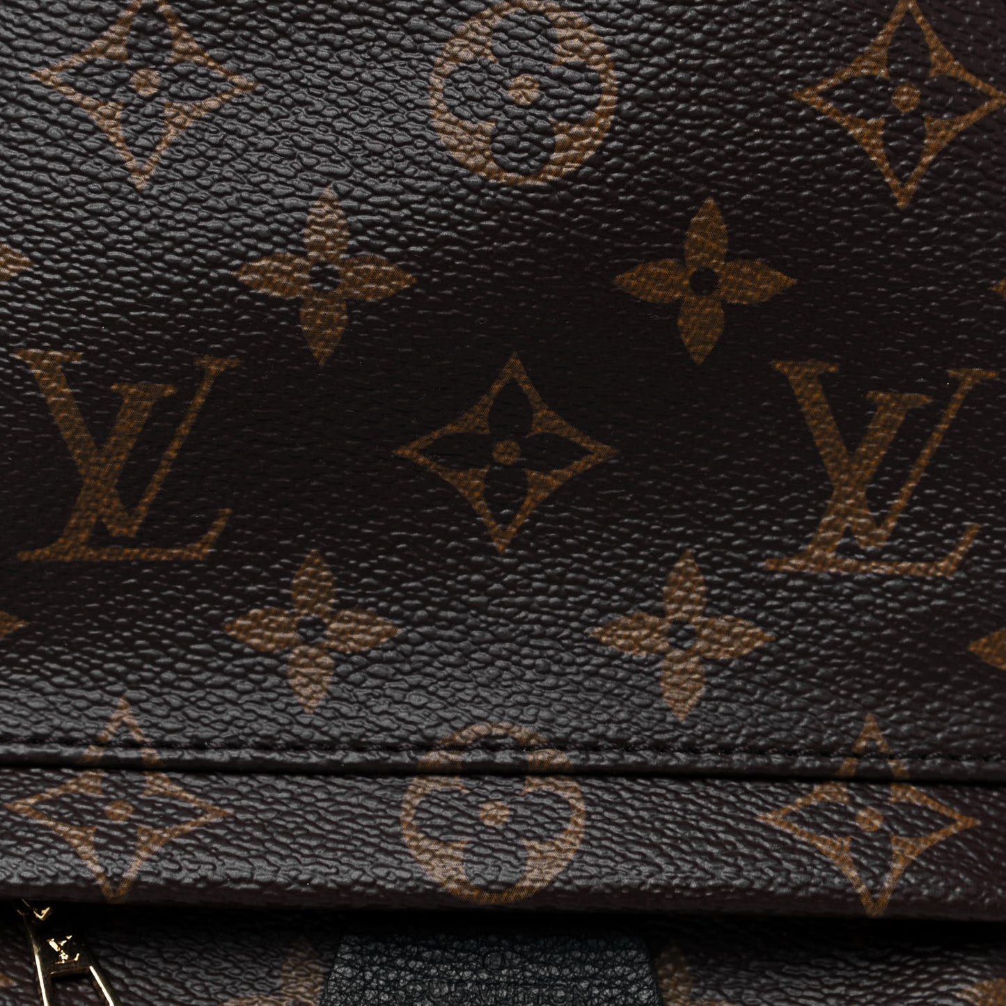 Monogram Palm Springs Backpack Mini