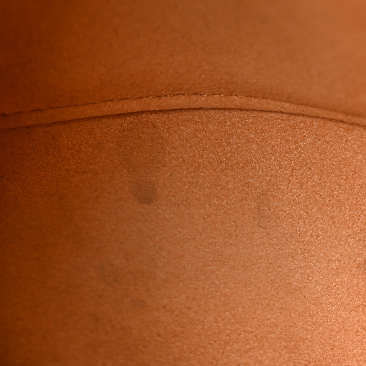 Monogram Venus Epice