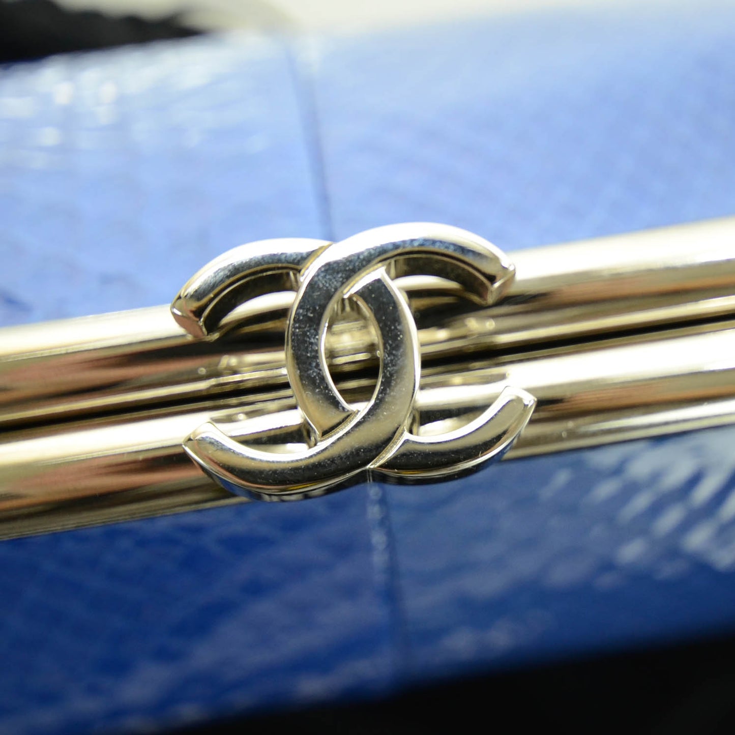Glazed Python Timeless Clutch Blue
