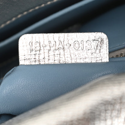 Christian Dior Metallic Grained Calfskin Cannage Small Lucky Badges My Lady Dior Silver 7 of 13